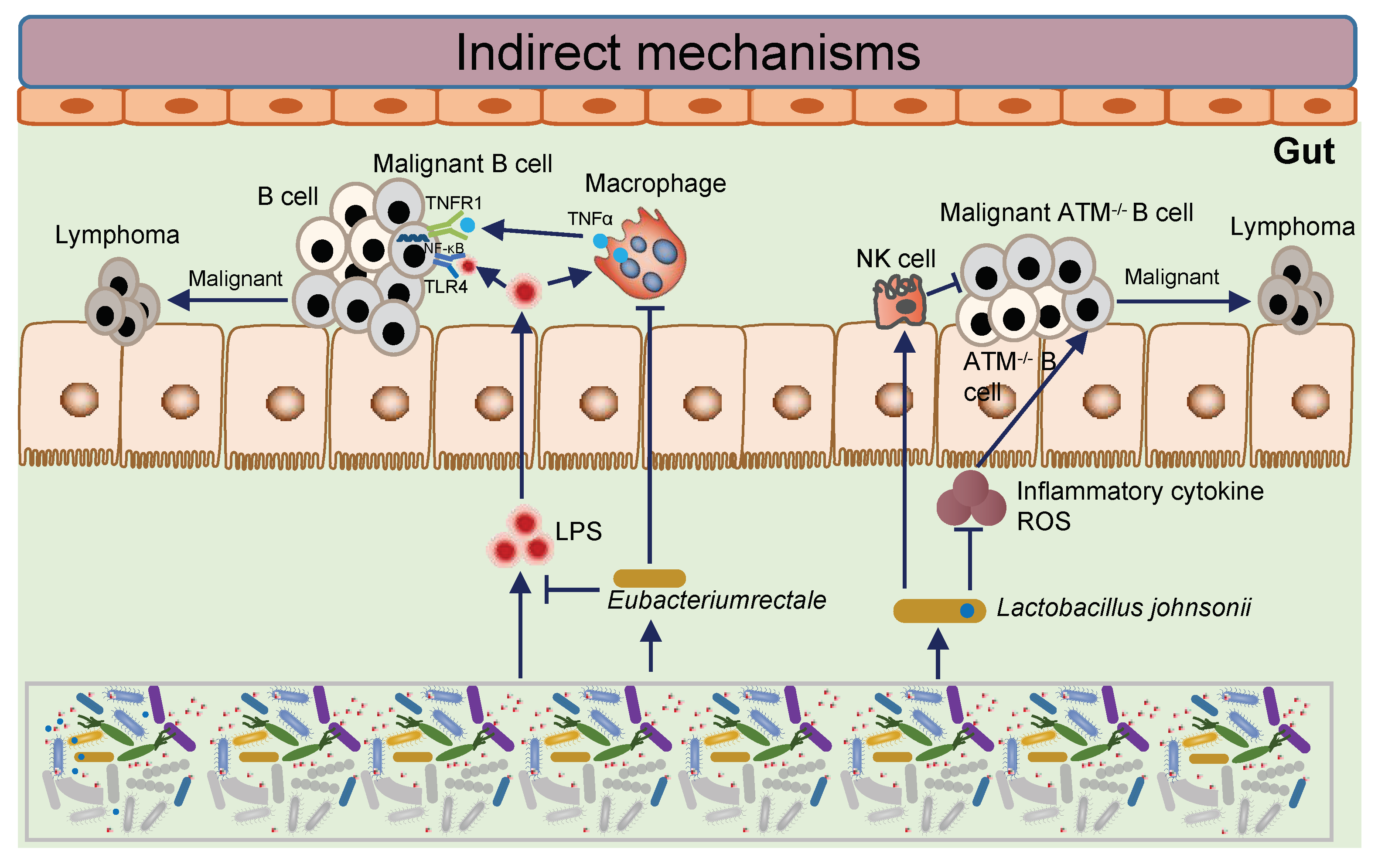 Cancers 15 02284 g002