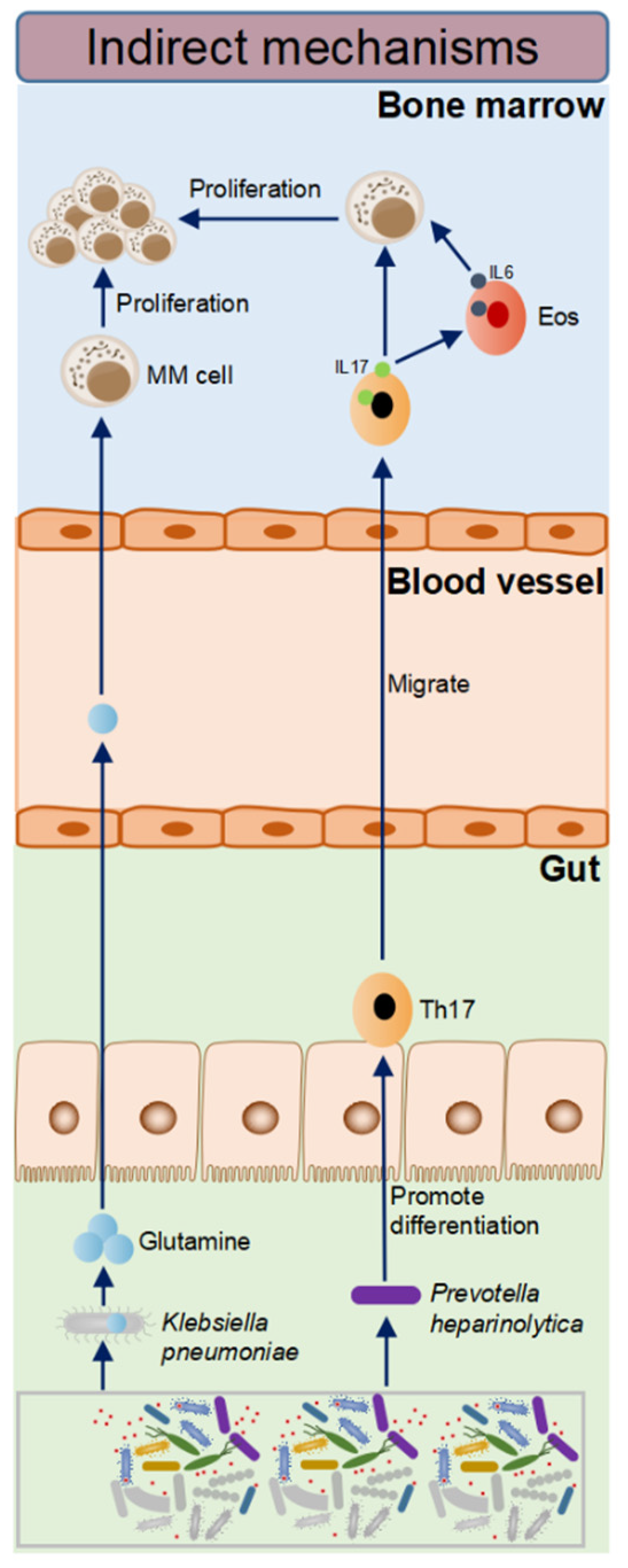 Cancers 15 02284 g003