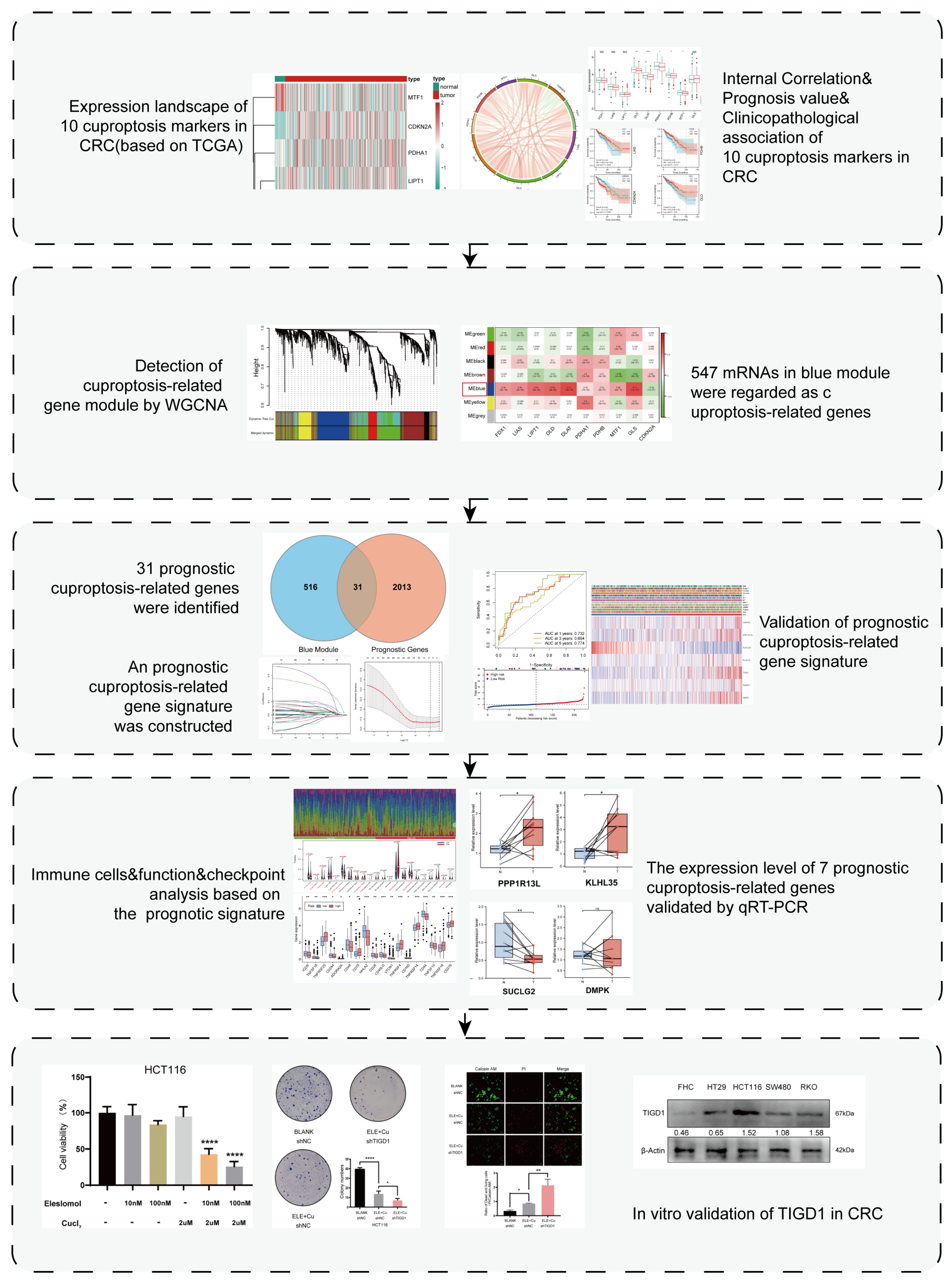 Cancers 15 02286 g001