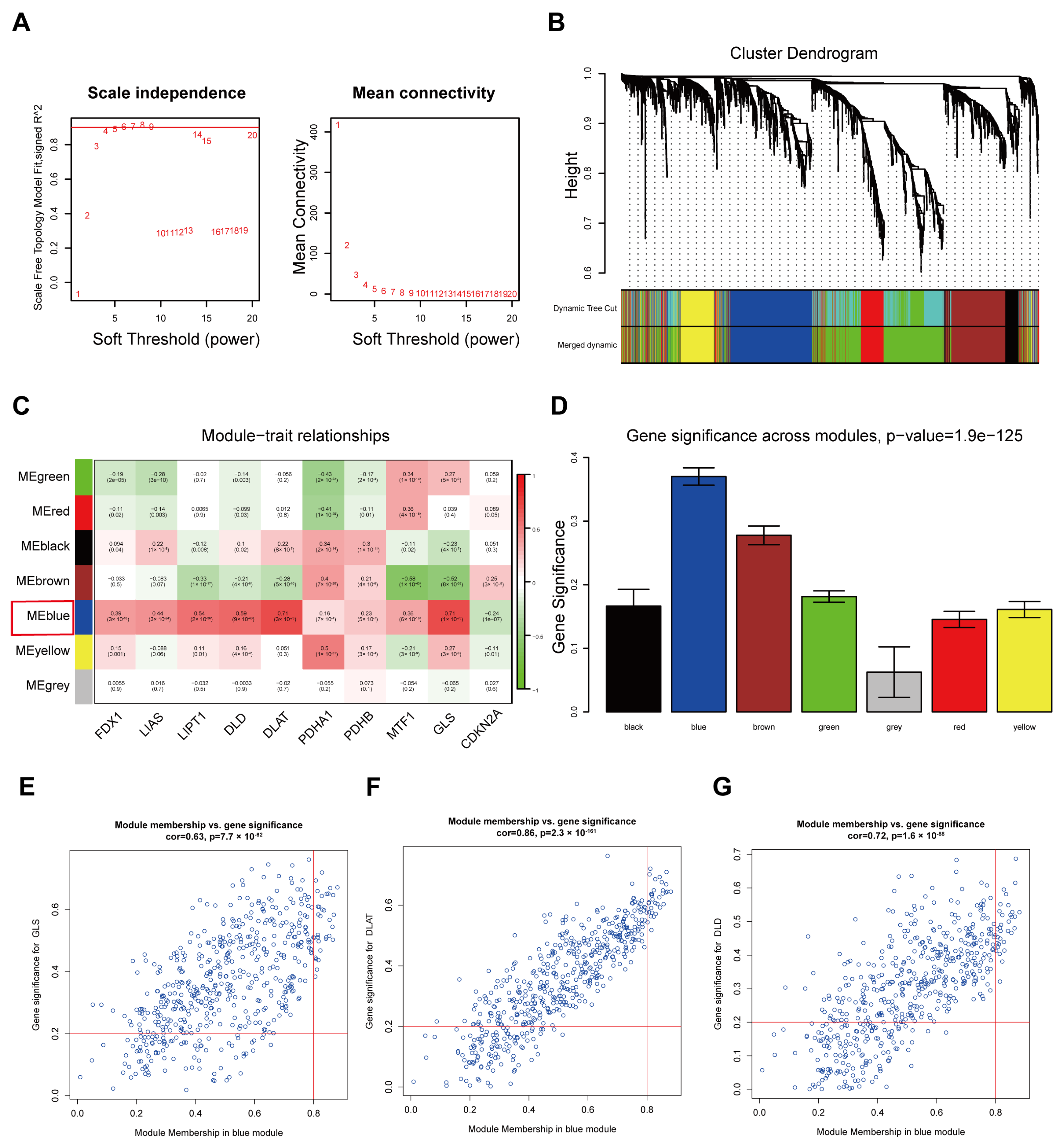 Cancers 15 02286 g003