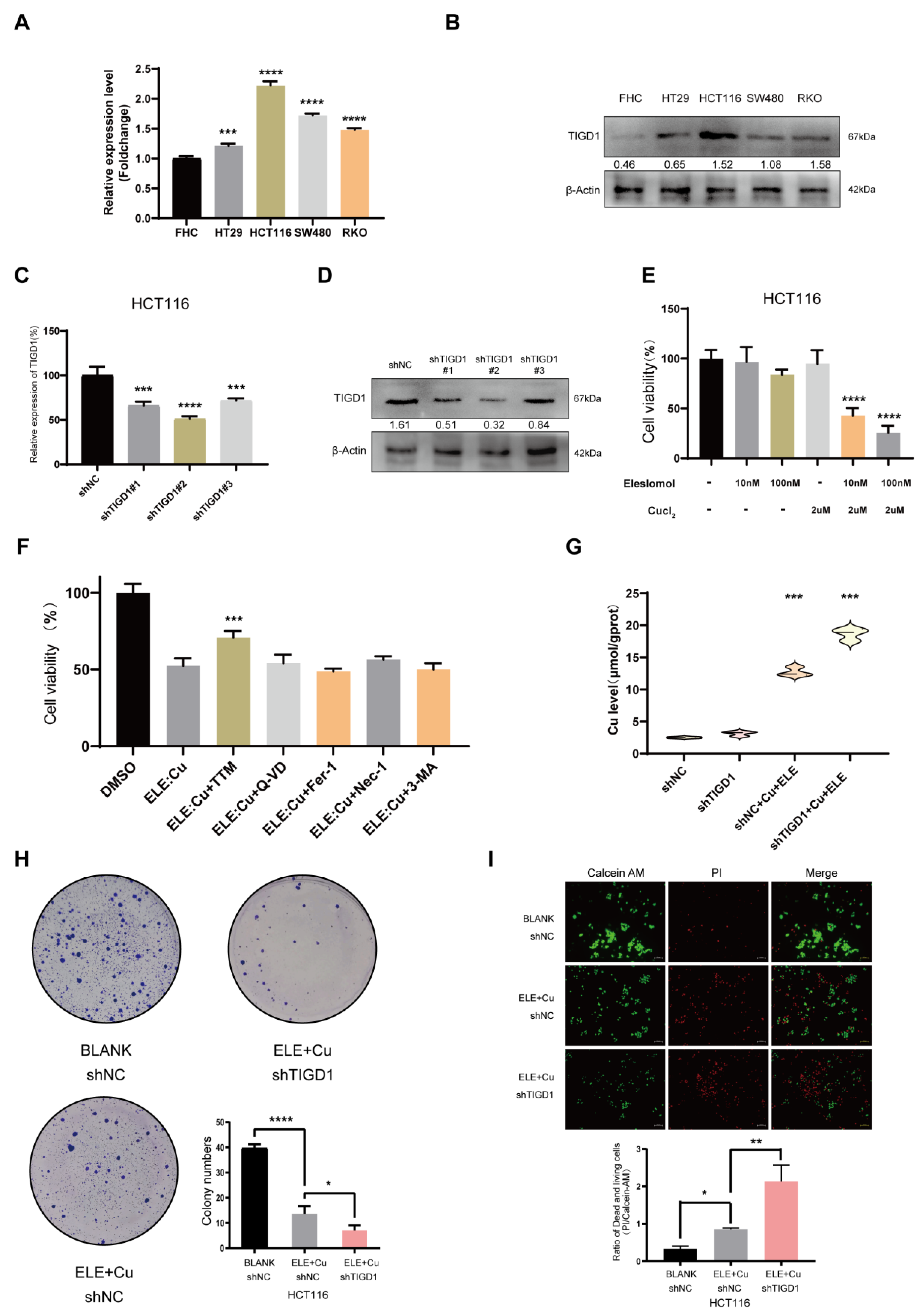 Cancers 15 02286 g010