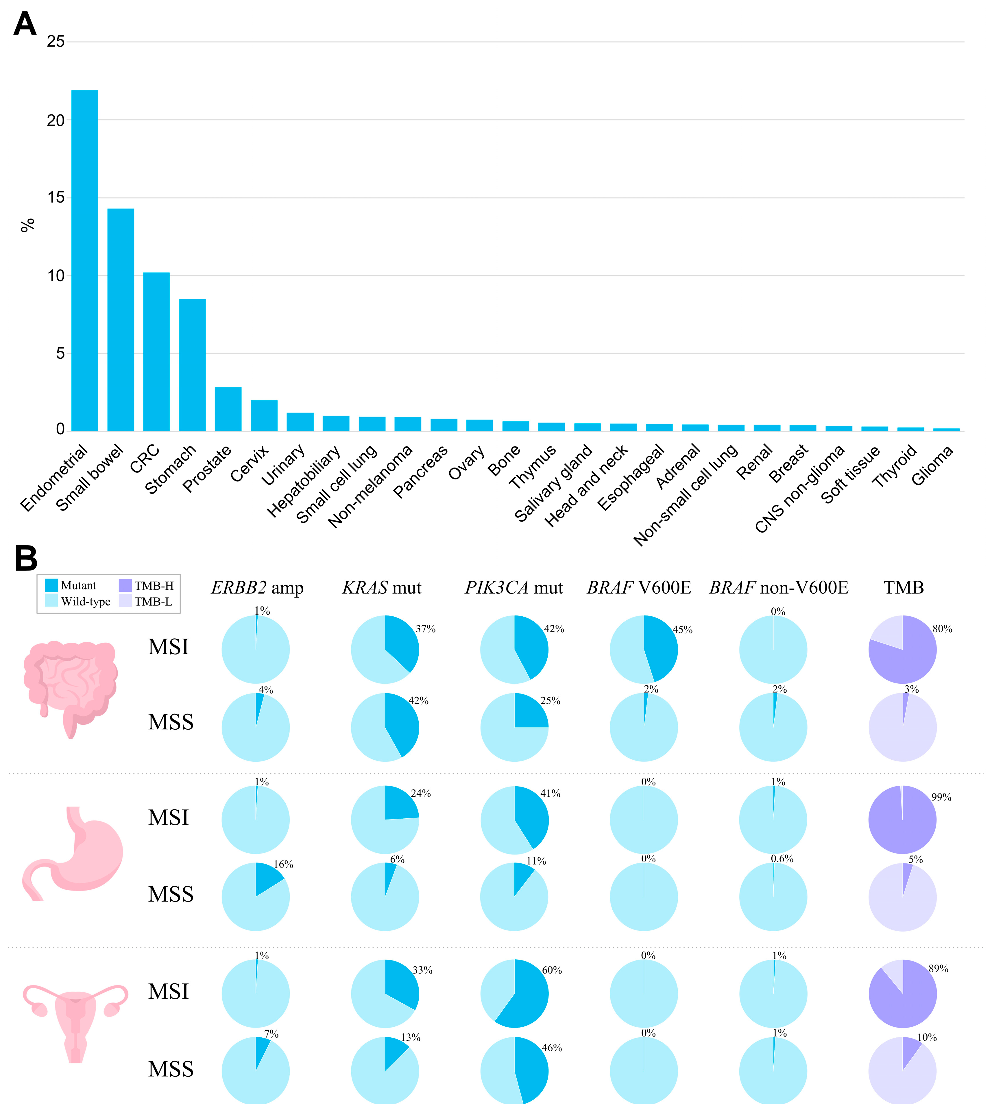Cancers 15 02288 g002