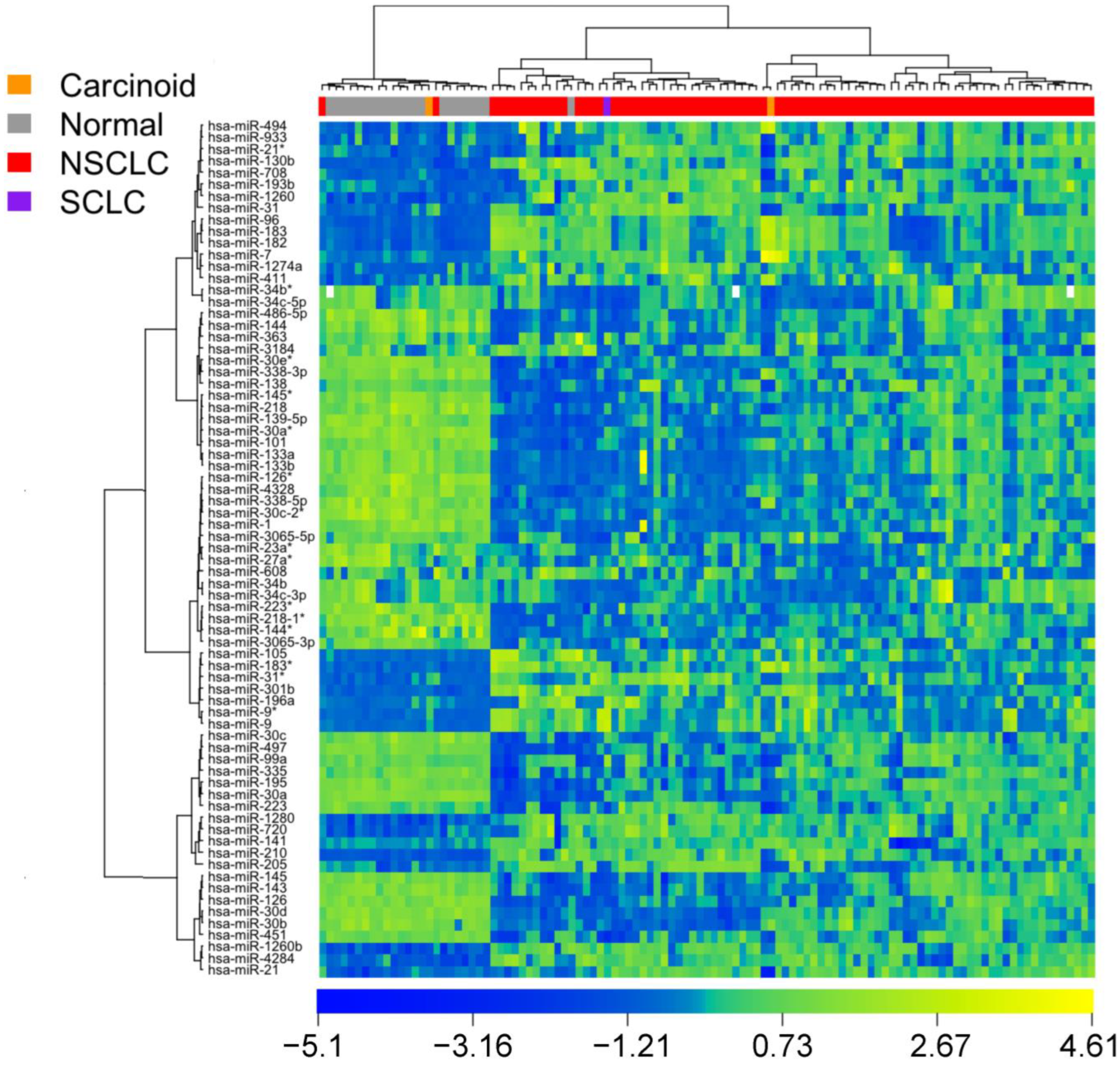 Cancers 15 02294 g001