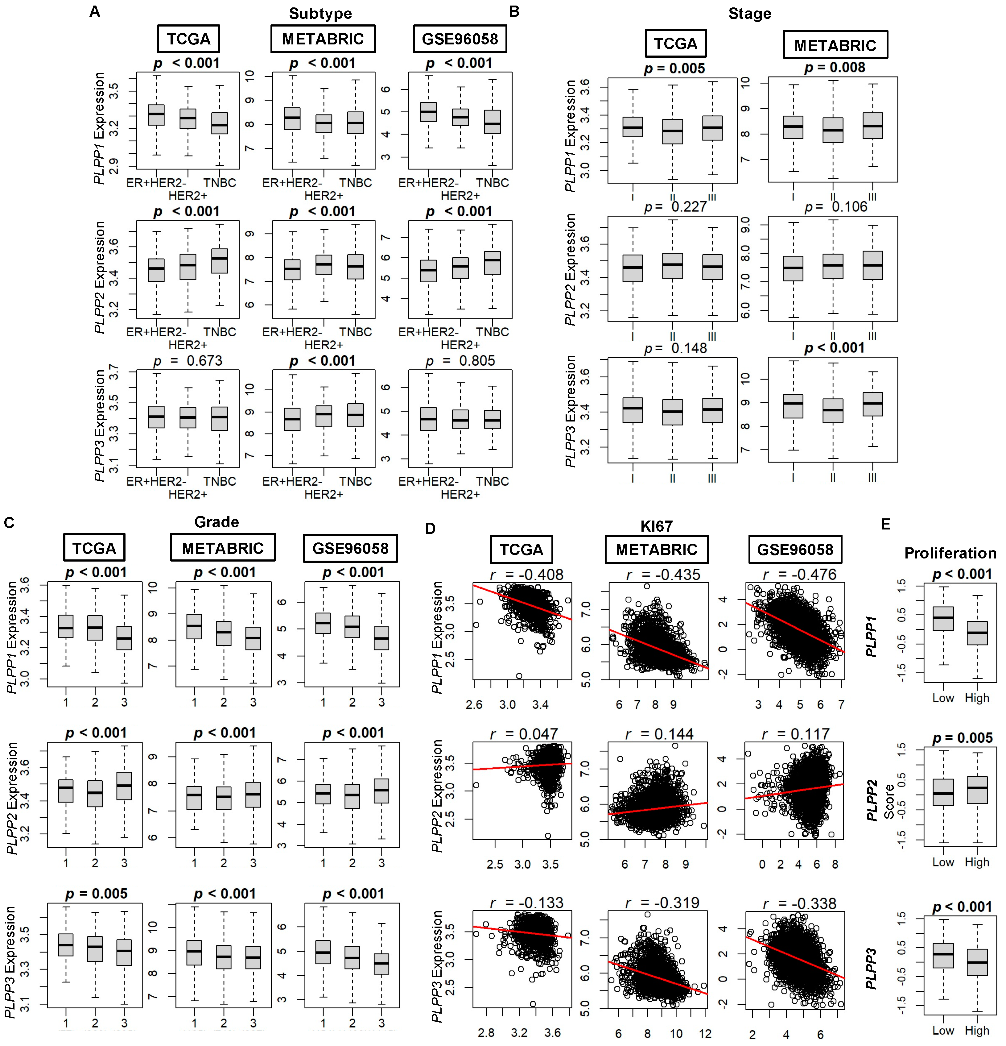 Cancers 15 02299 g002