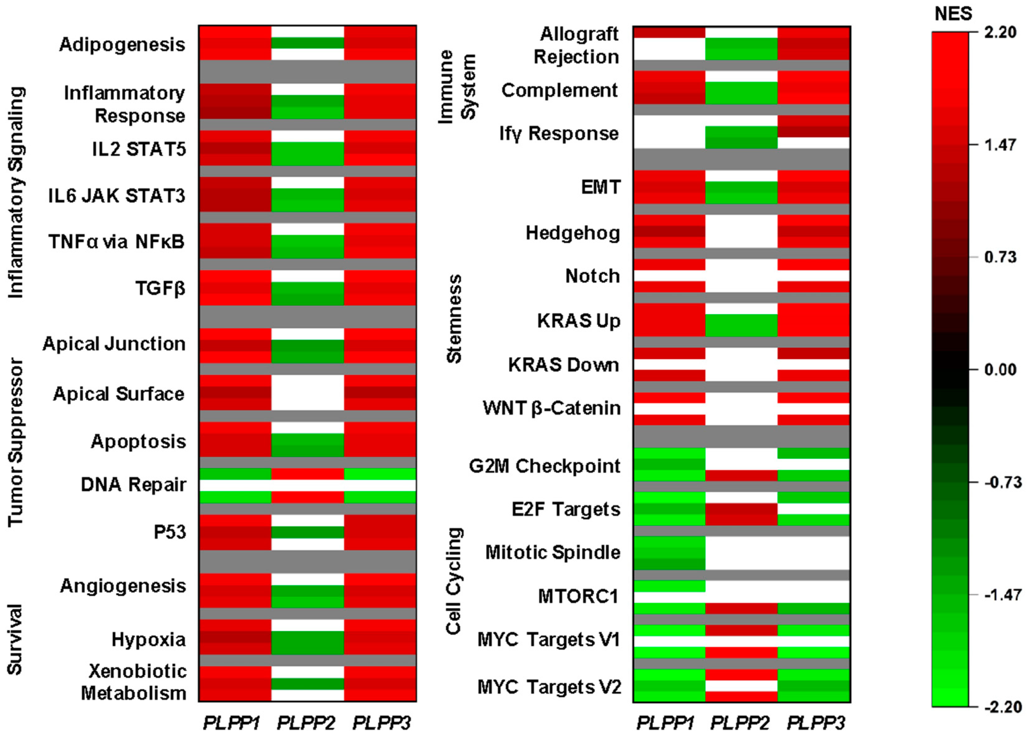 Cancers 15 02299 g005