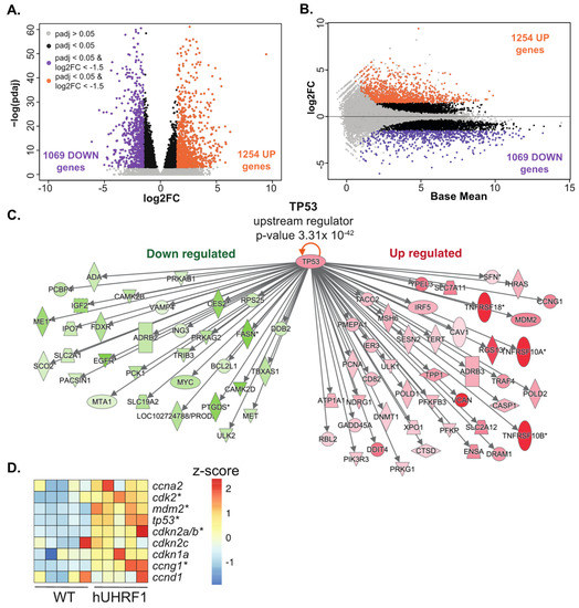 Cancers 15 02302 g001