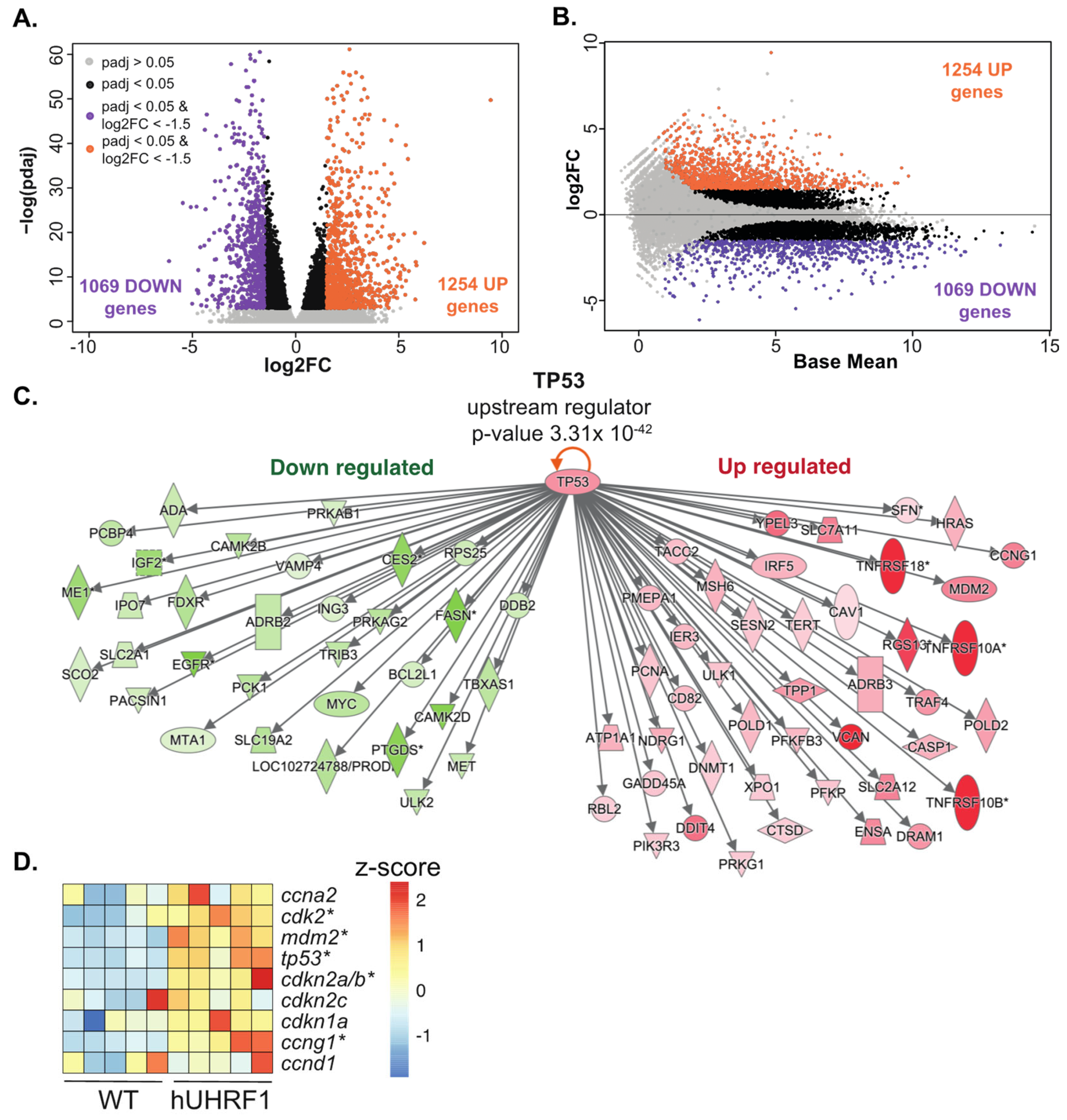 Cancers 15 02302 g001