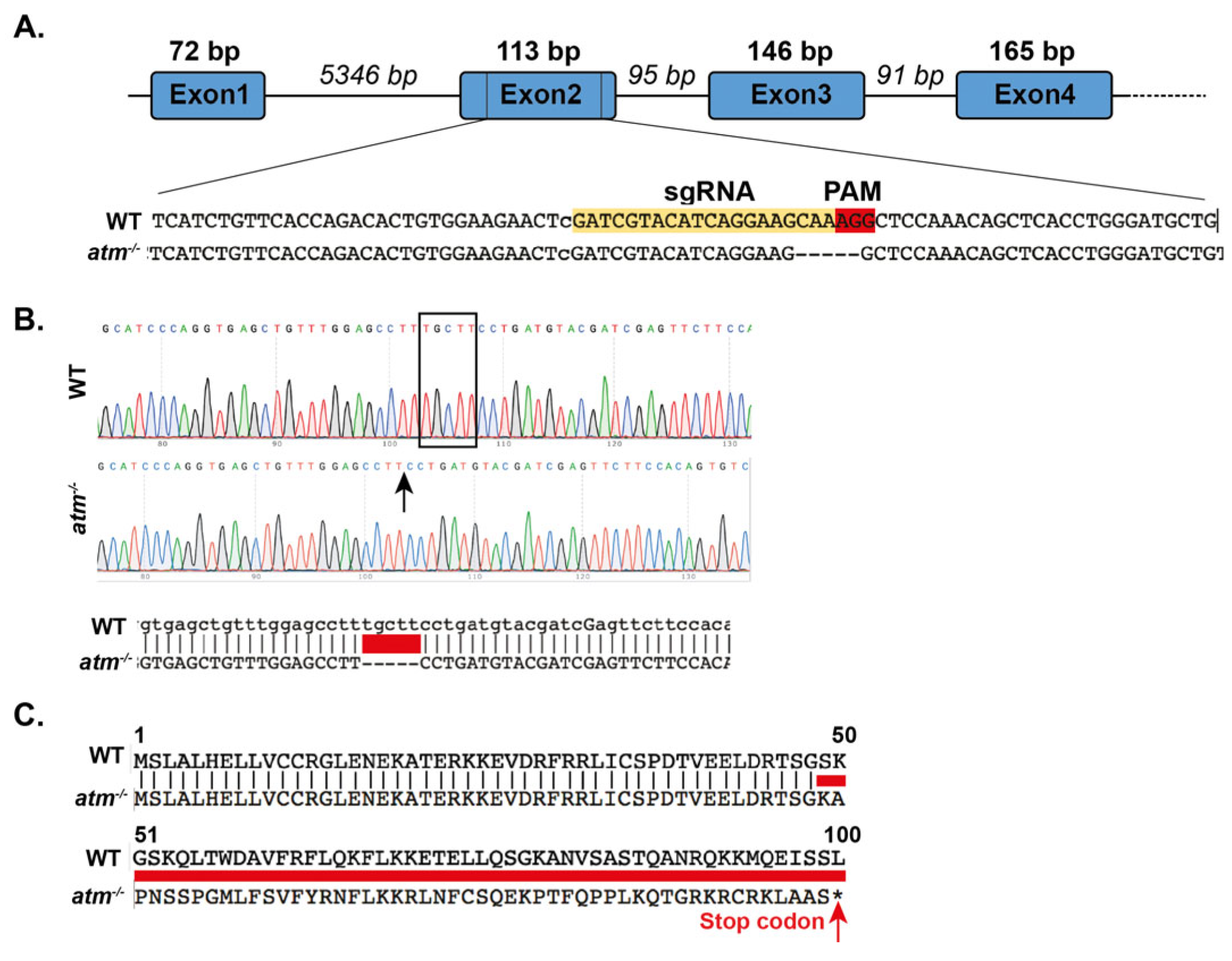 Cancers 15 02302 g002