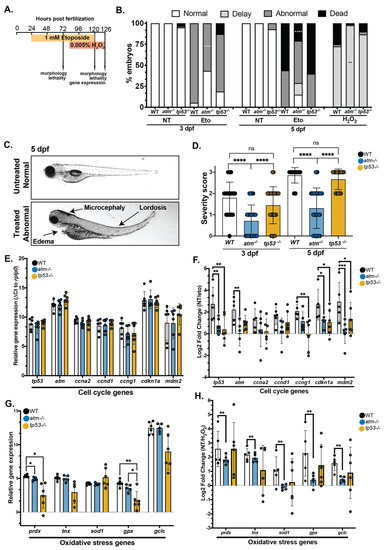 Cancers 15 02302 g004