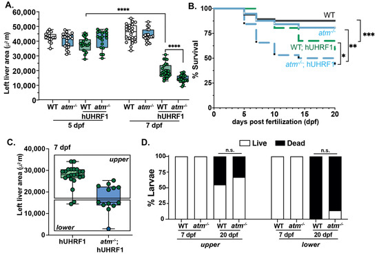 Cancers 15 02302 g005
