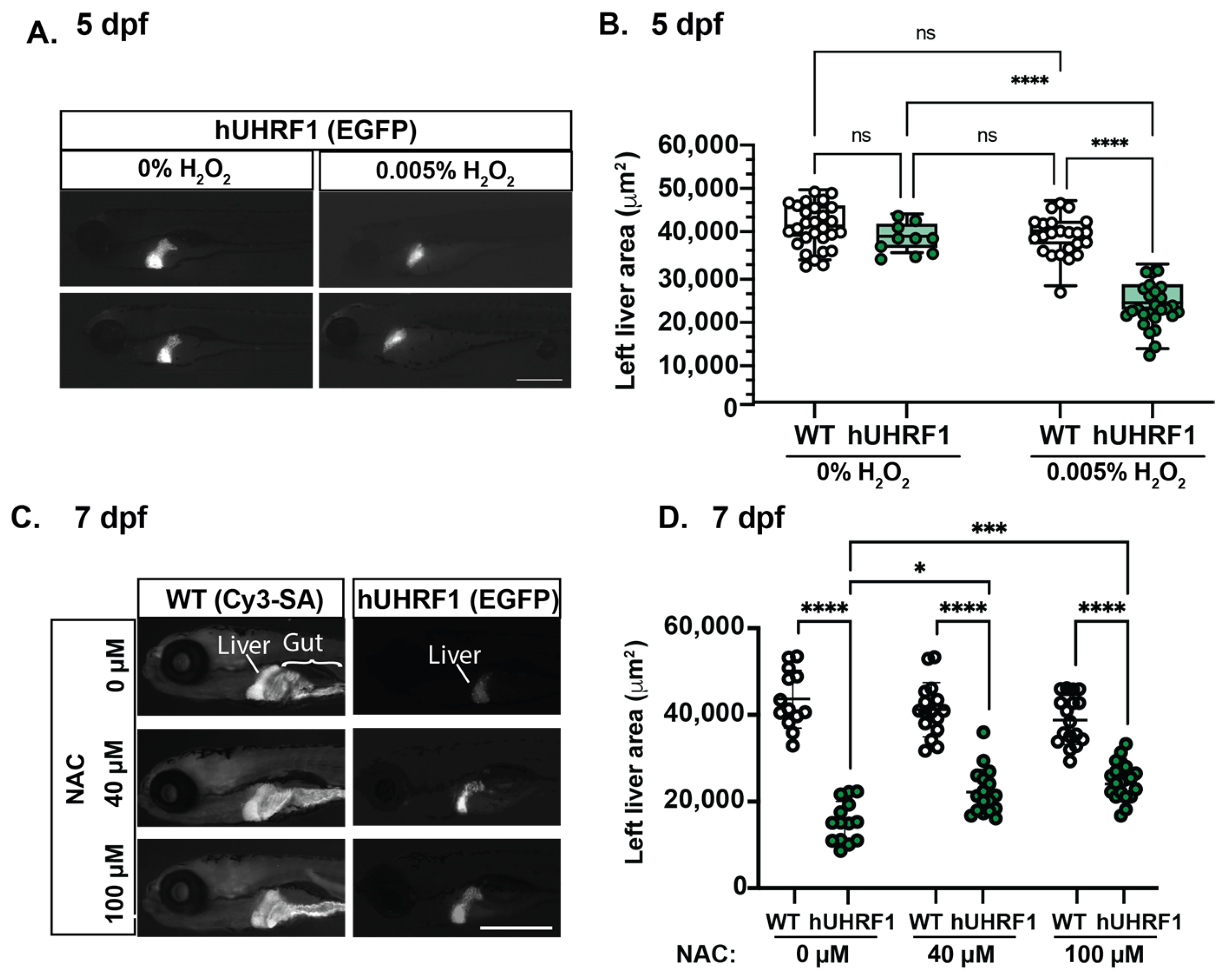 Cancers 15 02302 g006