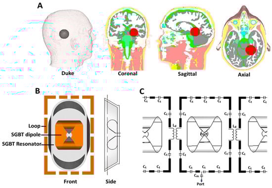 Cancers 15 02303 g002