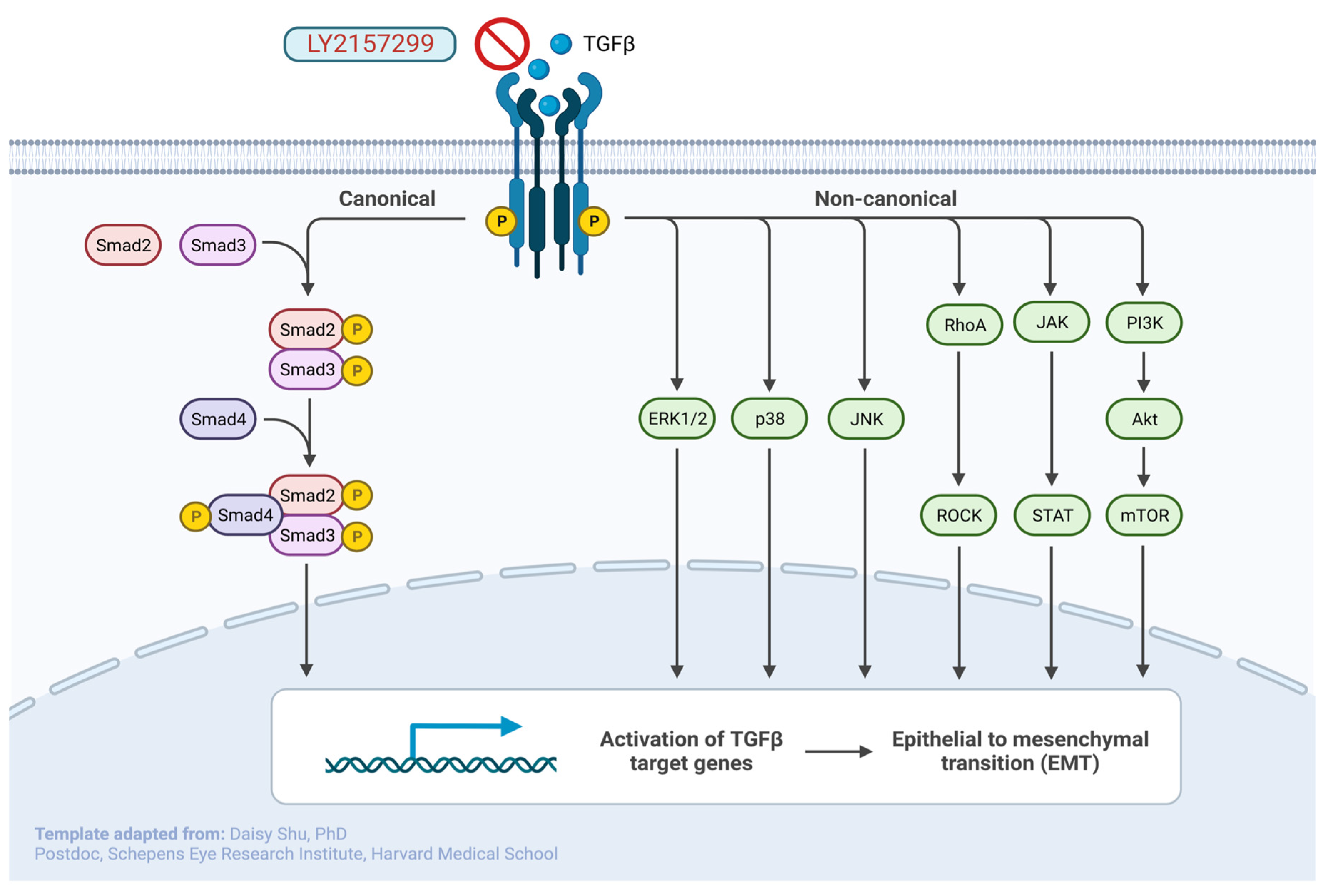Cancers 15 02309 g002