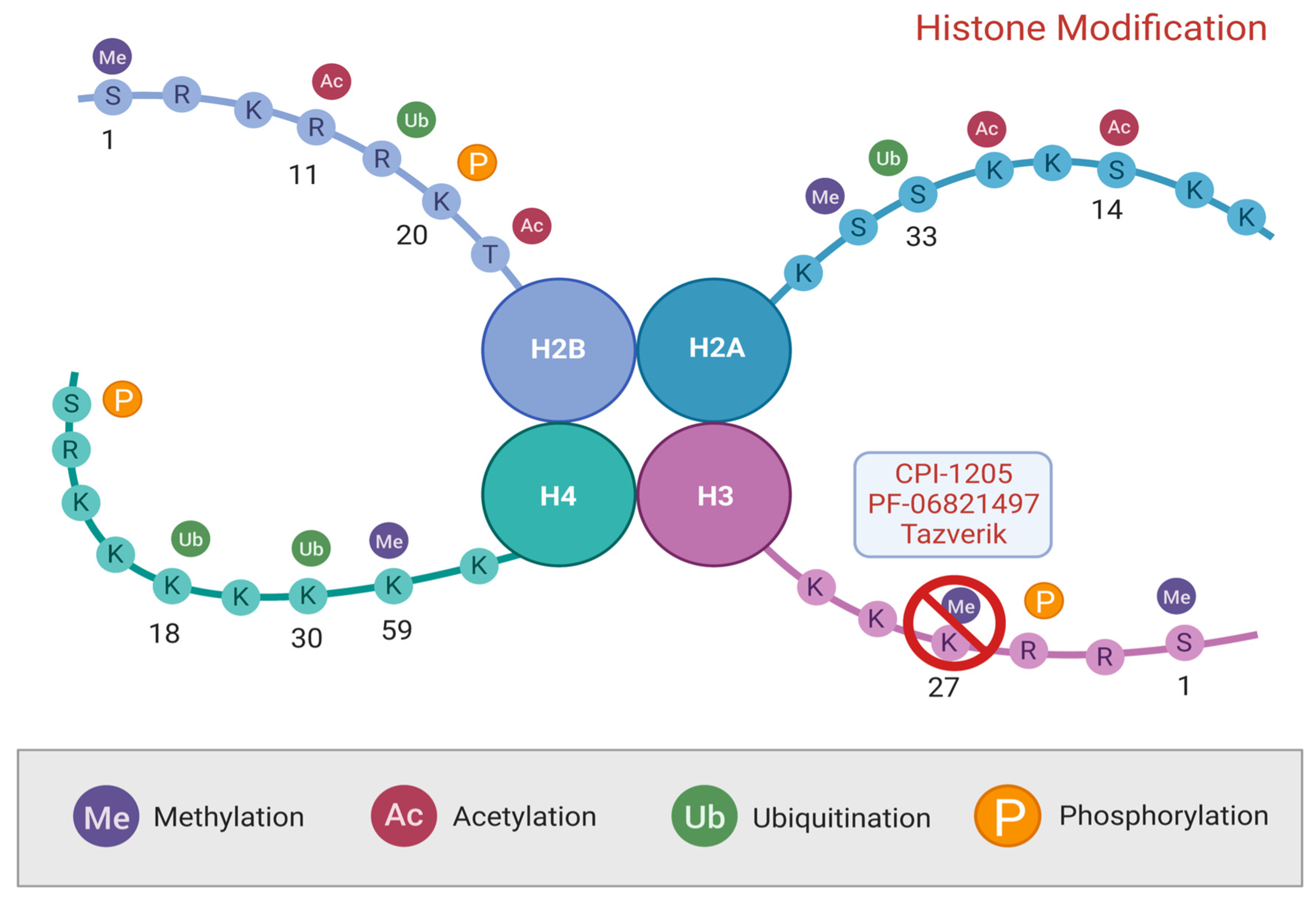 Cancers 15 02309 g003