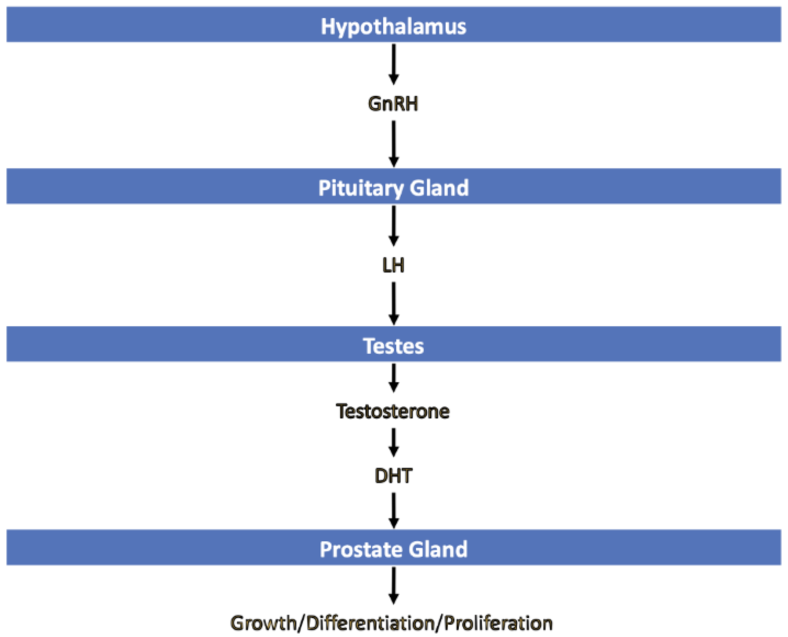 Cancers 15 02316 g002 Cancers 15 02316 g002