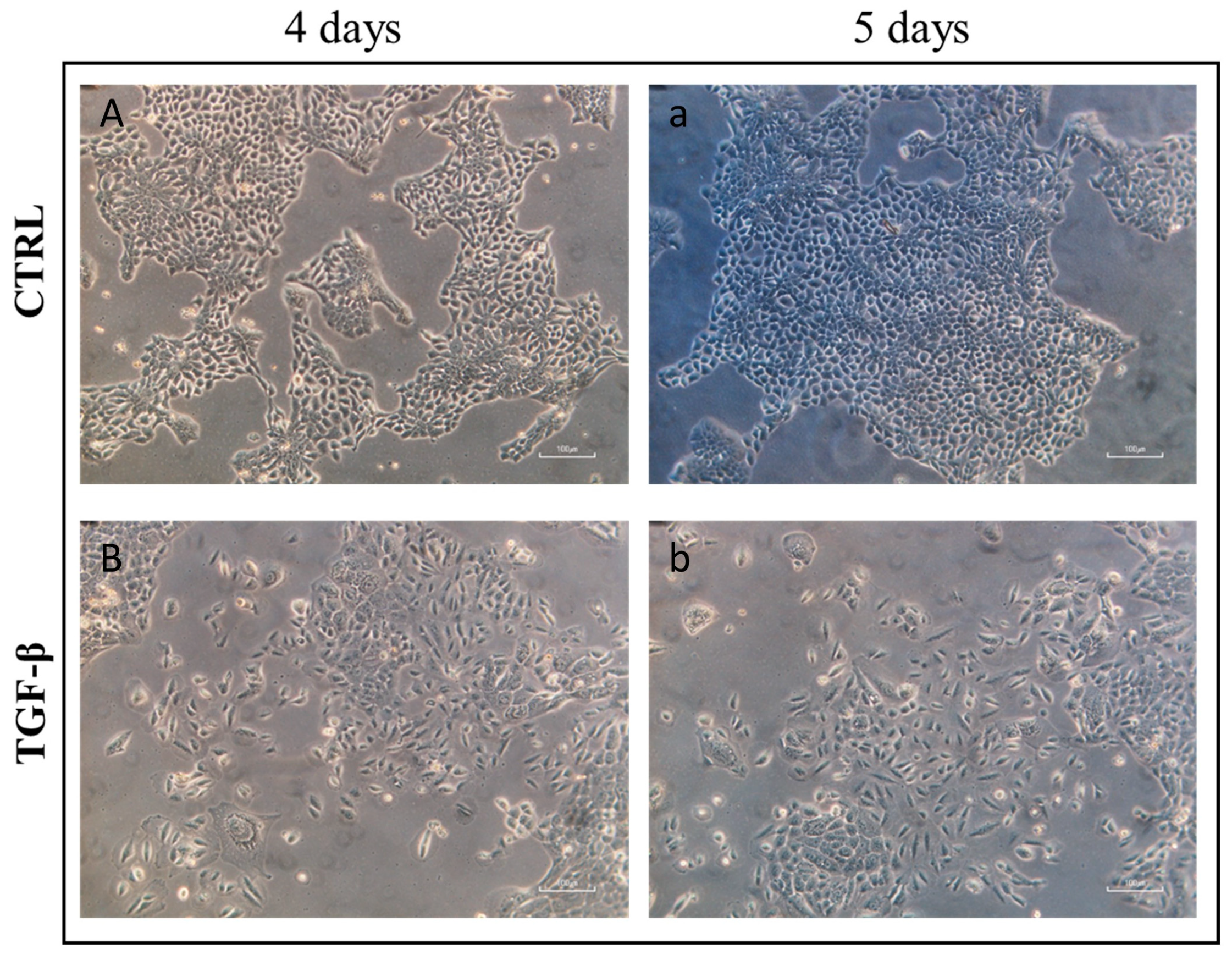 Cancers 15 02317 g001