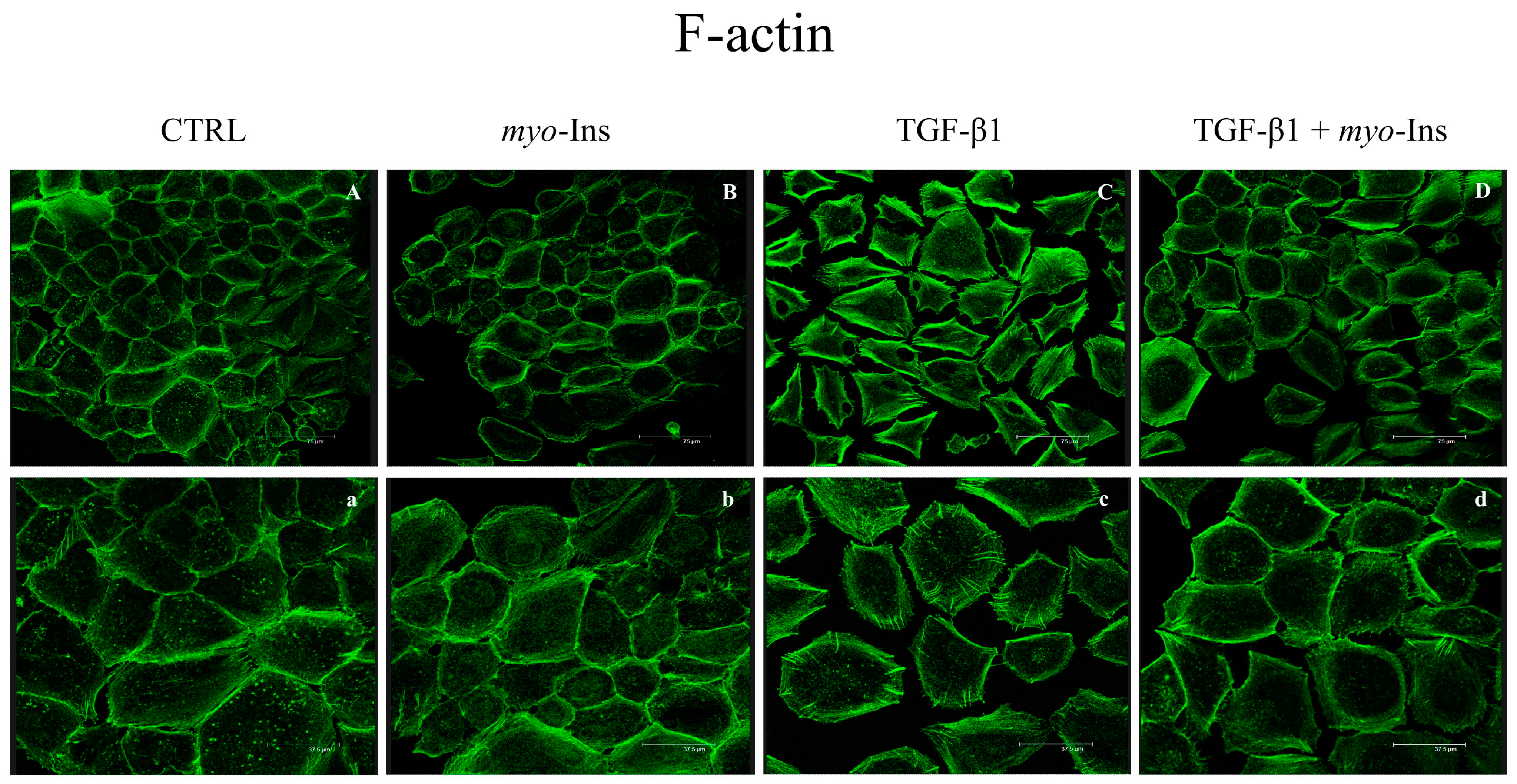 Cancers 15 02317 g004