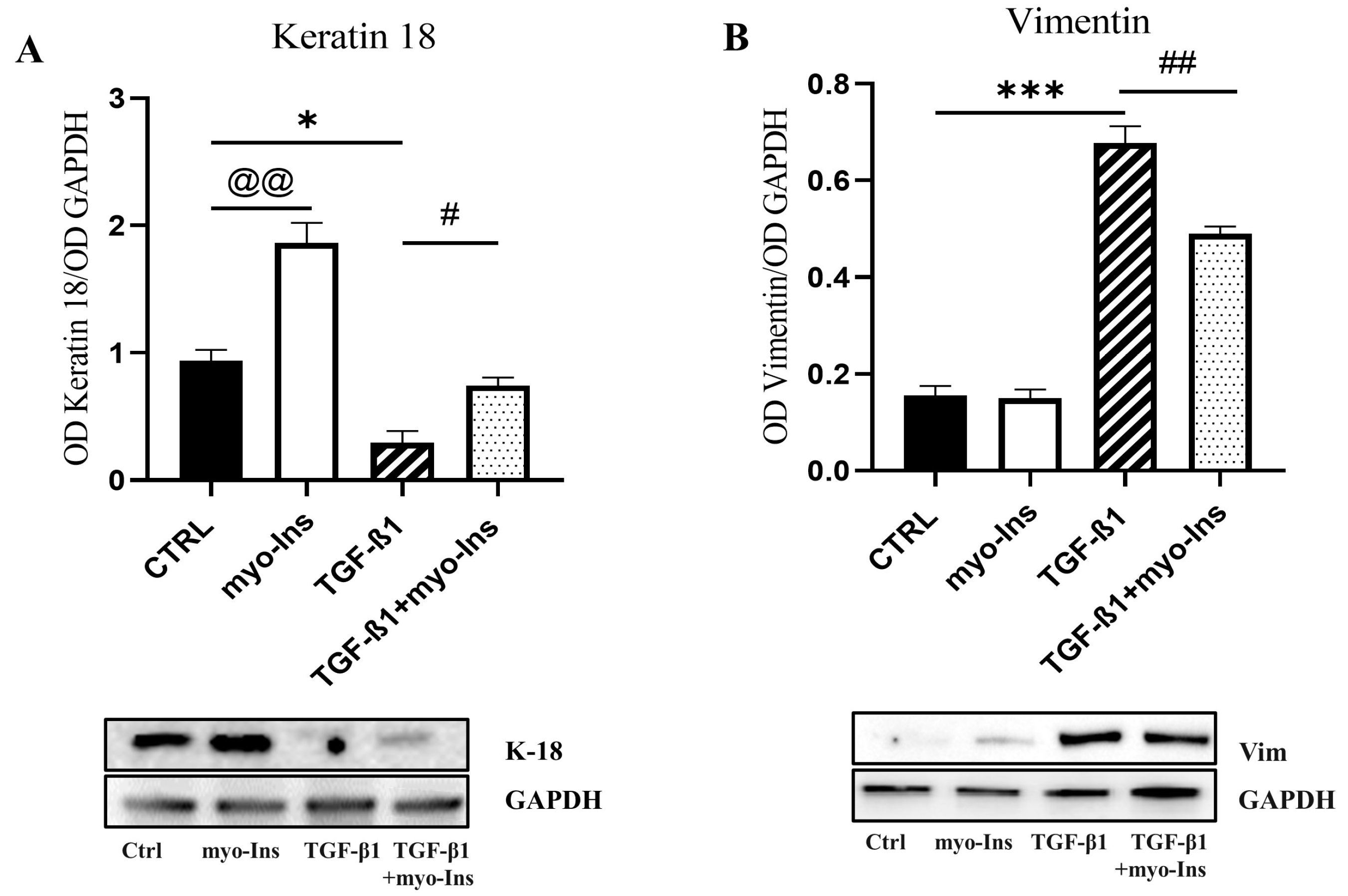 Cancers 15 02317 g007