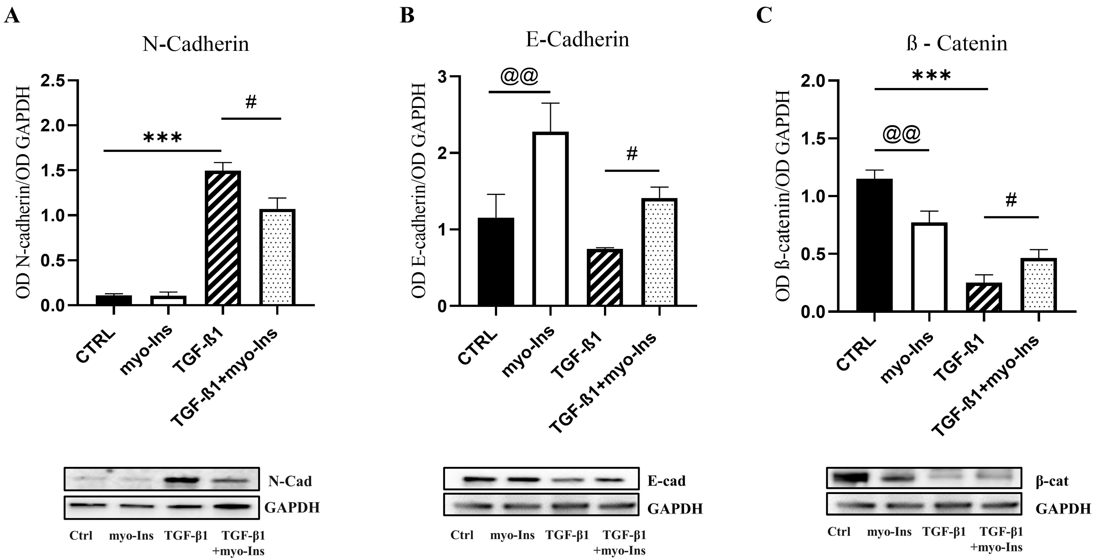 Cancers 15 02317 g008