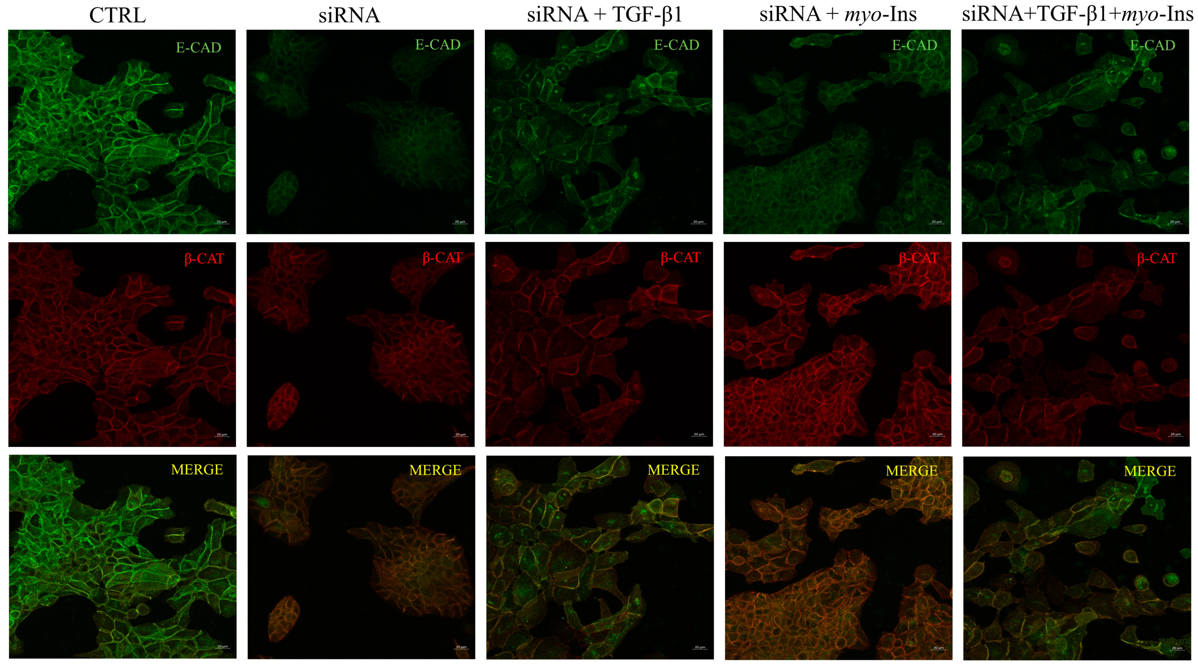 Cancers 15 02317 g010
