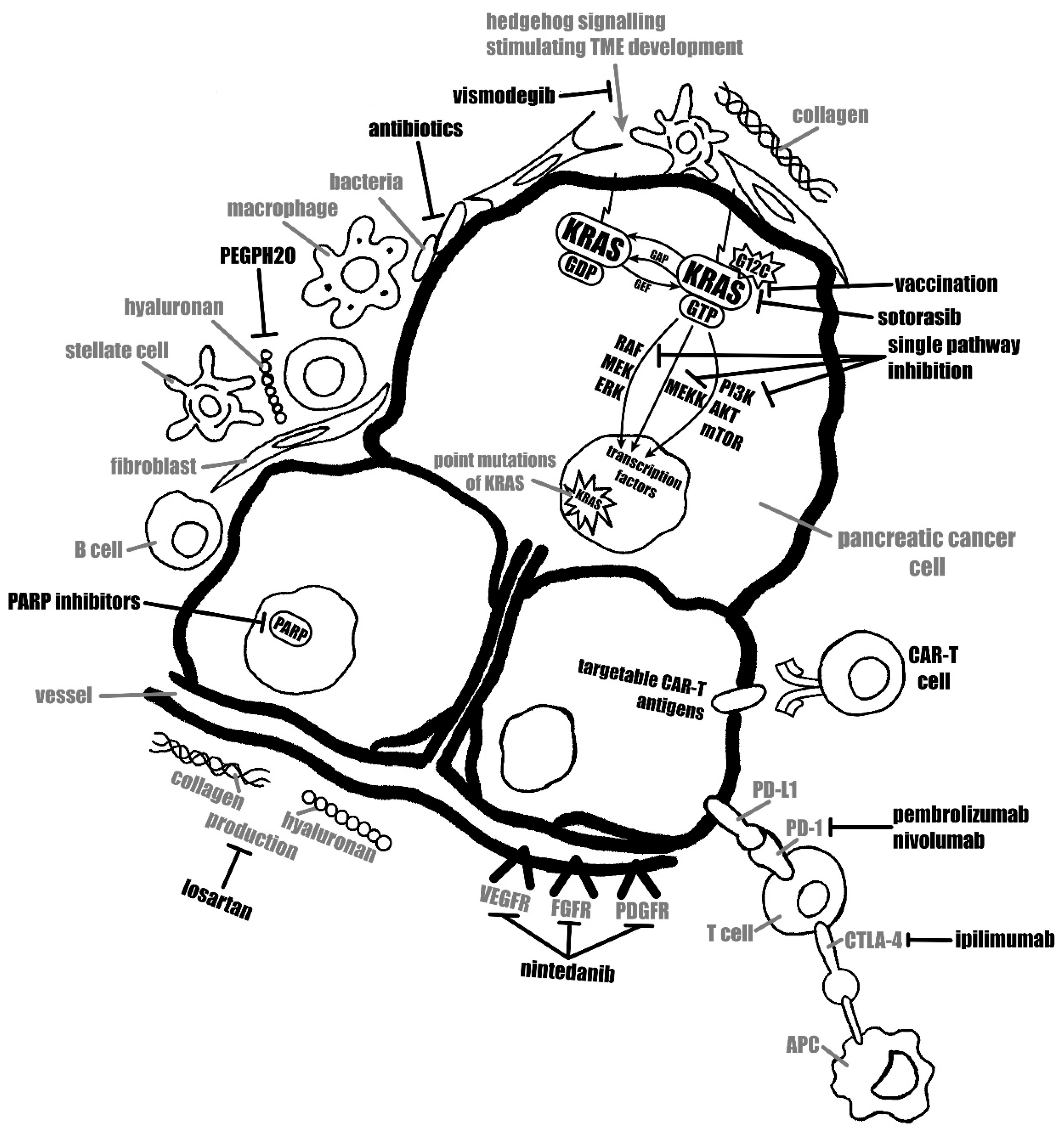 Cancers 15 02327 g002