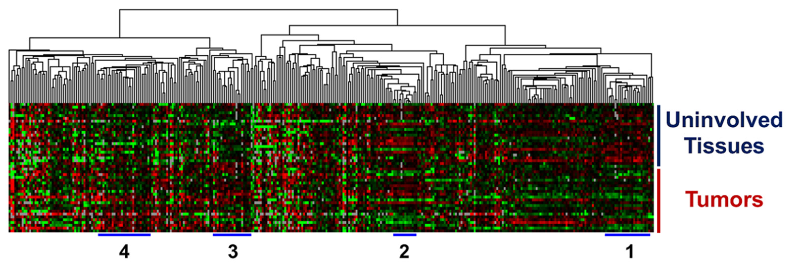 Cancers 15 02331 g001