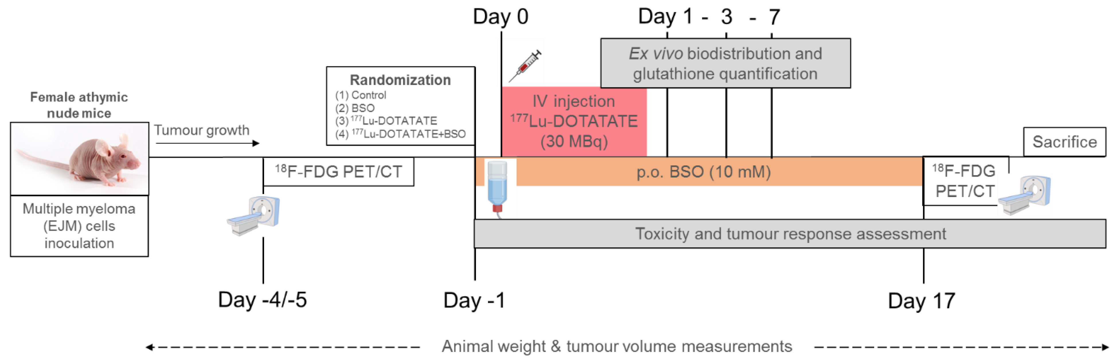 Cancers 15 02332 g001