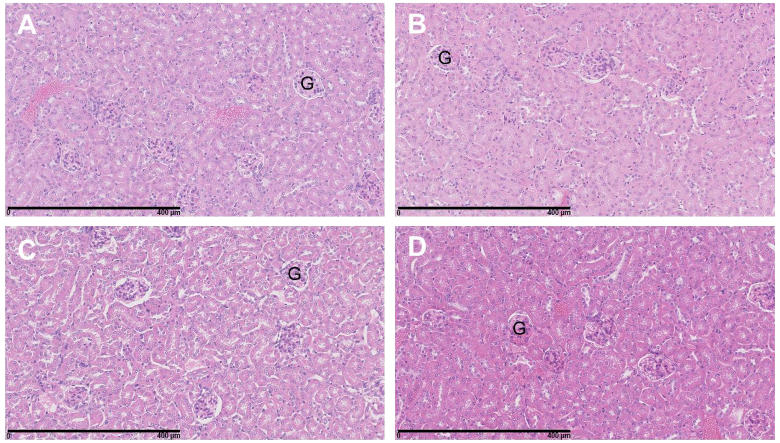 Cancers 15 02332 g009