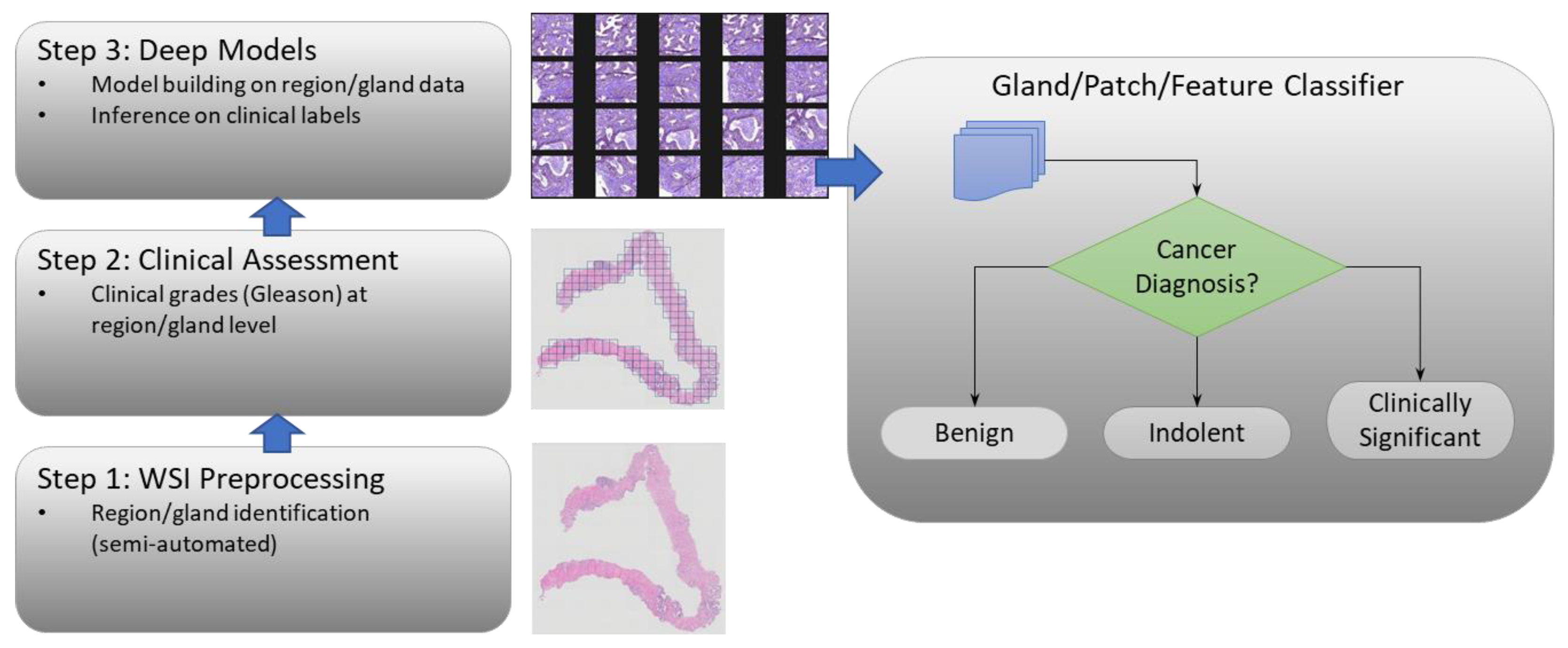 Cancers 15 02335 g001