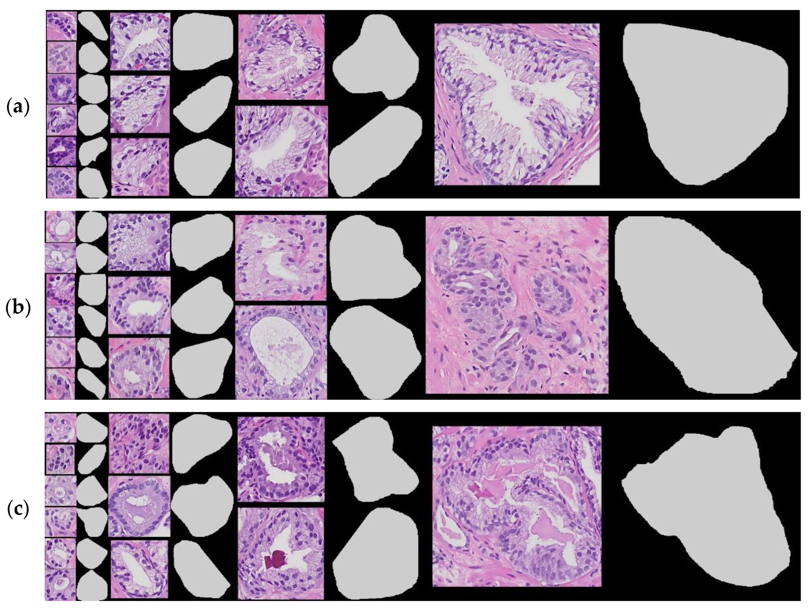 Cancers 15 02335 g002