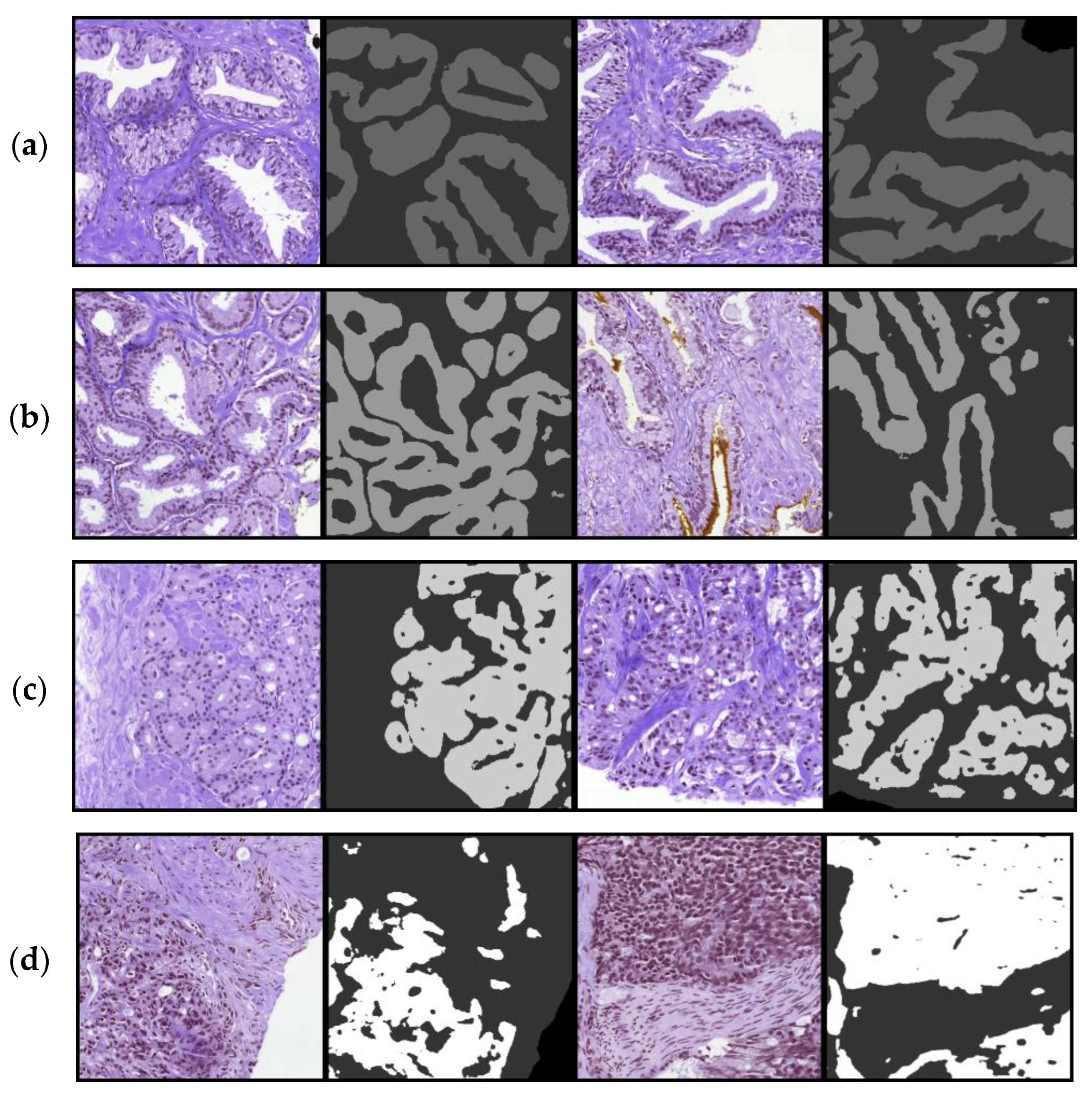 Cancers 15 02335 g003