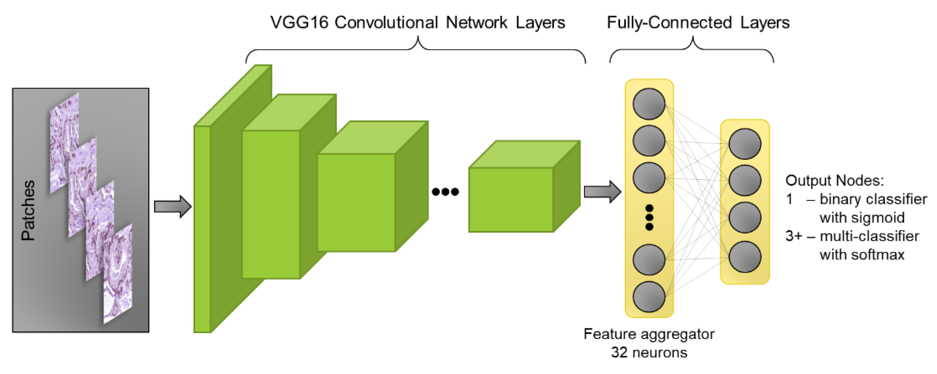 Cancers 15 02335 g007