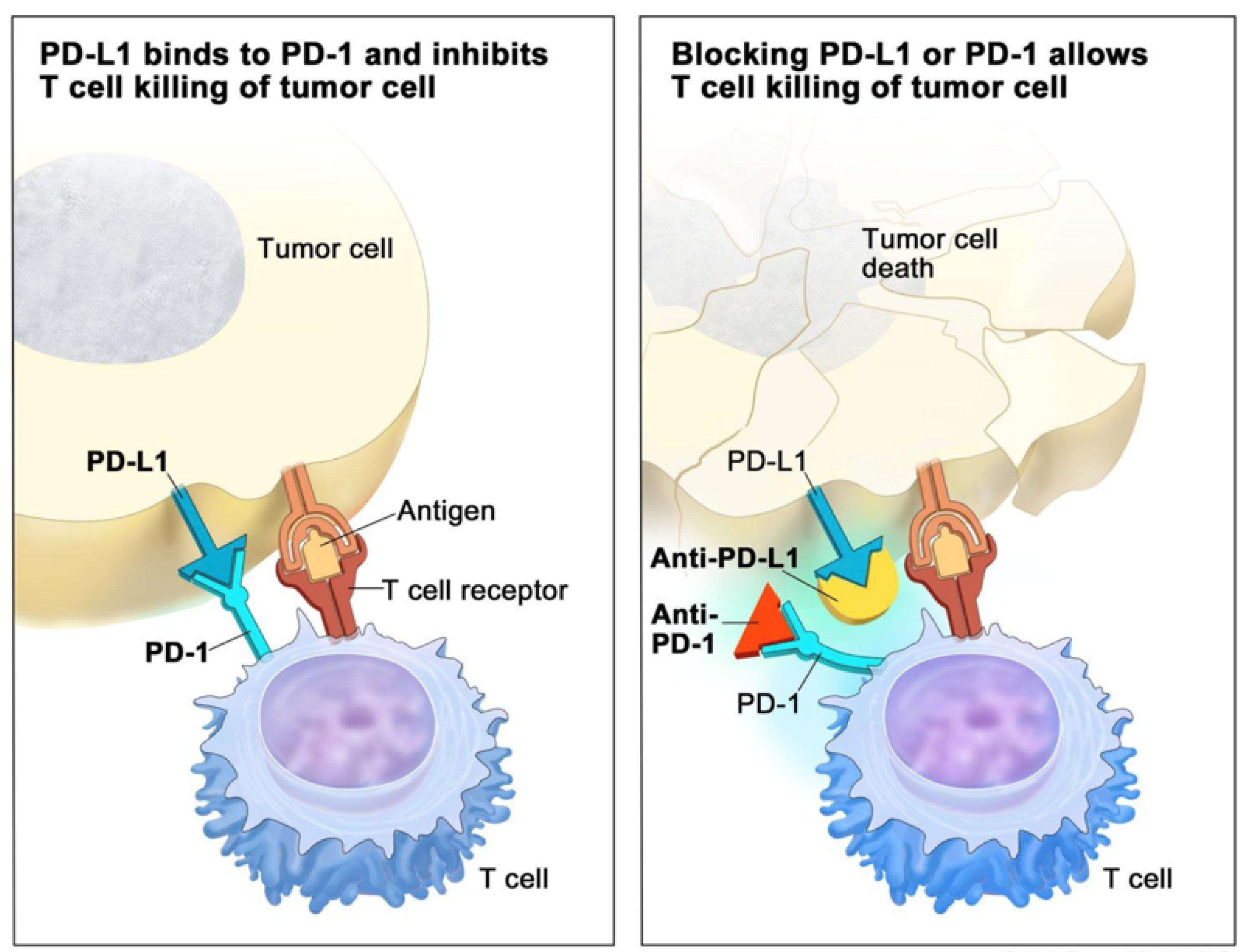 Cancers 15 02358 g001 Cancers 15 02358 g001