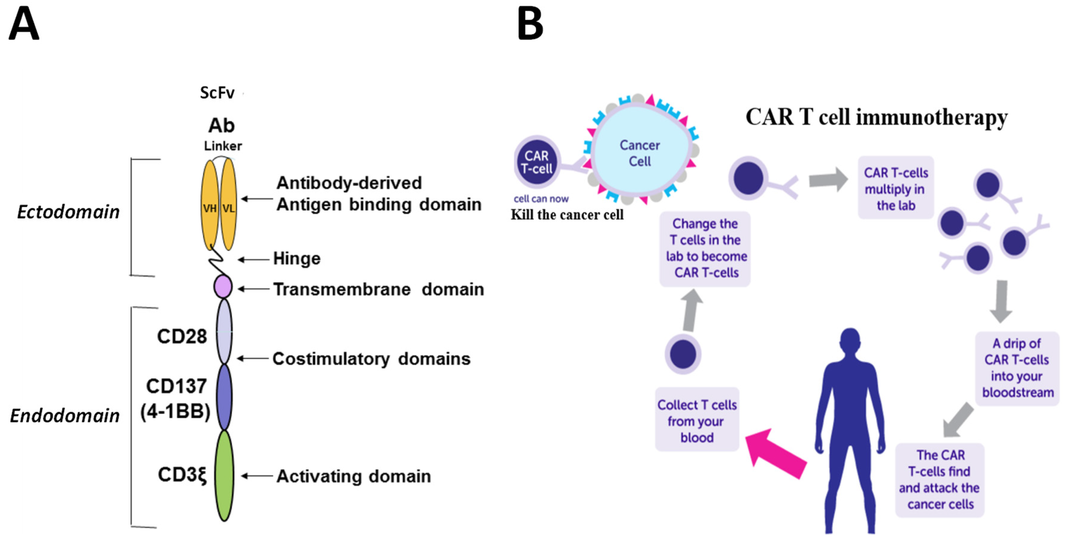 Cancers 15 02358 g002 Cancers 15 02358 g002