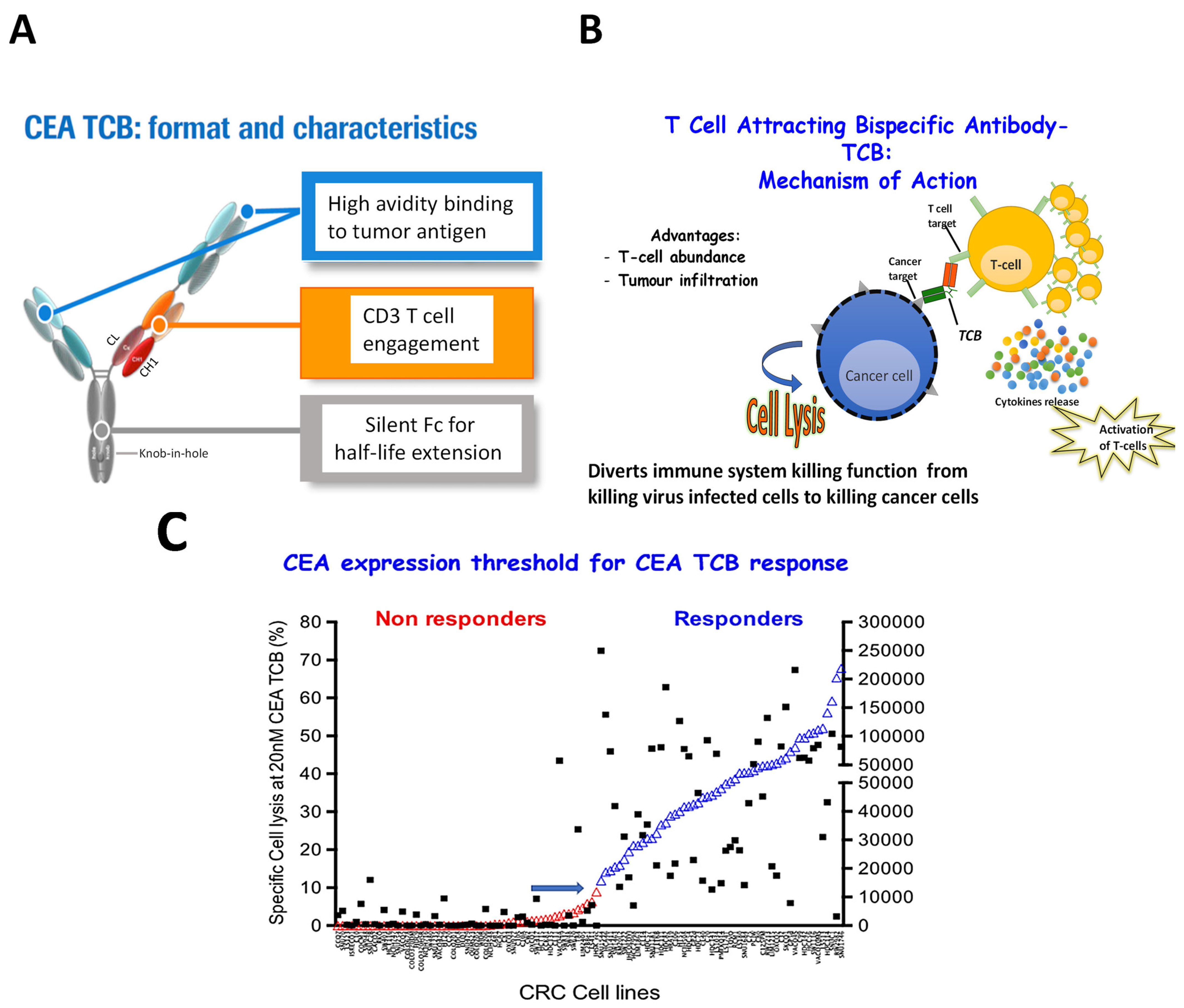 Cancers 15 02358 g003 Cancers 15 02358 g003