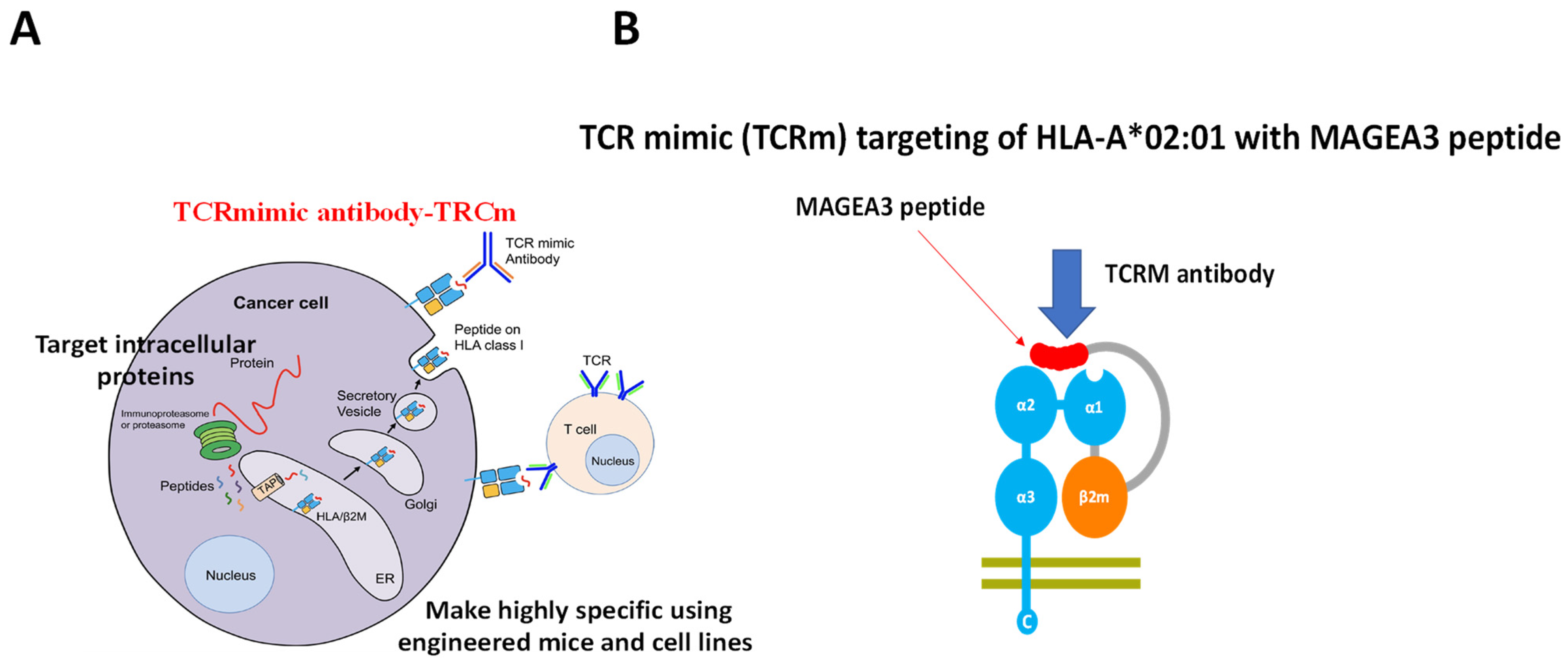 Cancers 15 02358 g004 Cancers 15 02358 g004