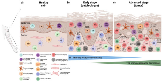 Cancers 15 02362 g001