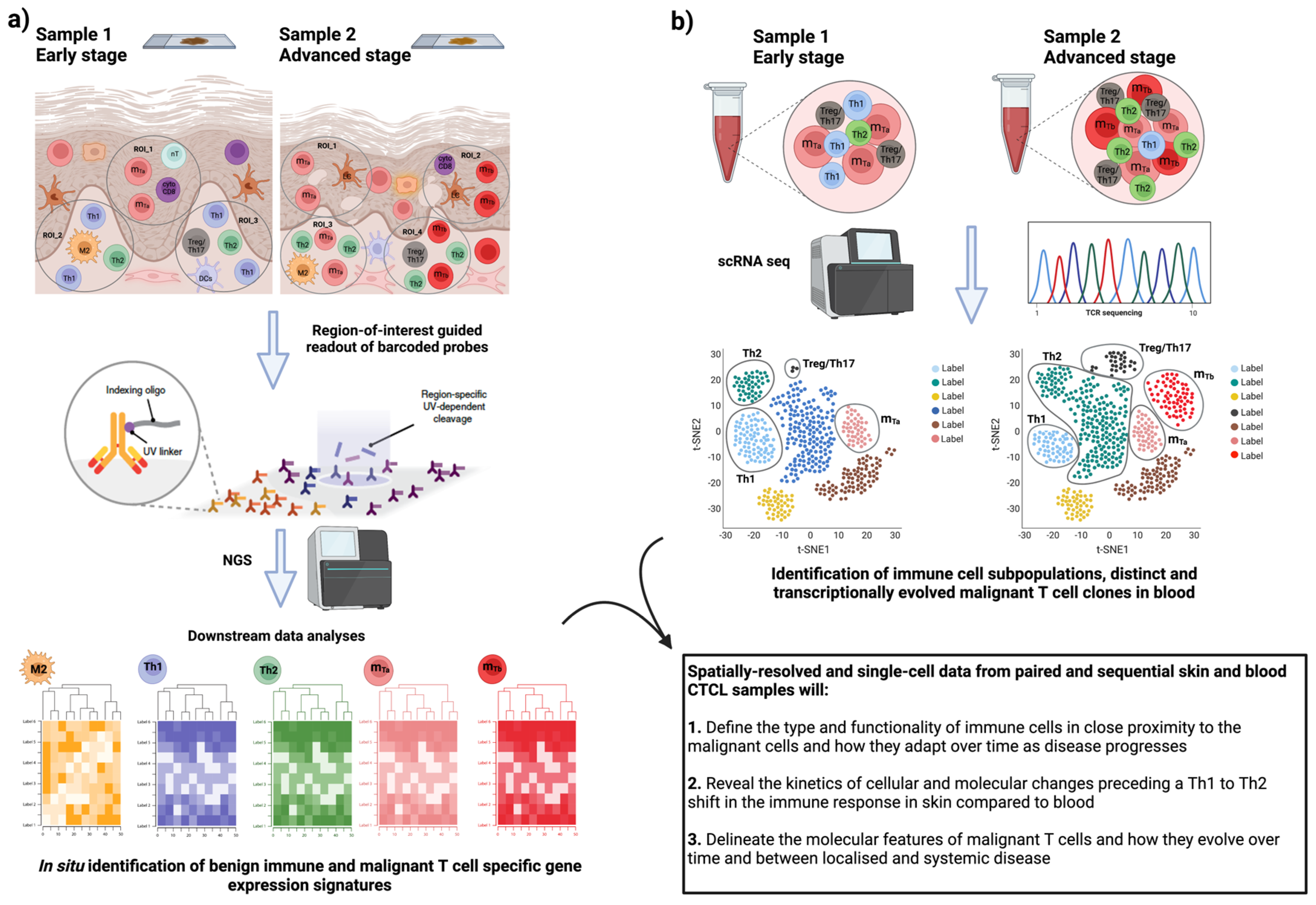 Cancers 15 02362 g002