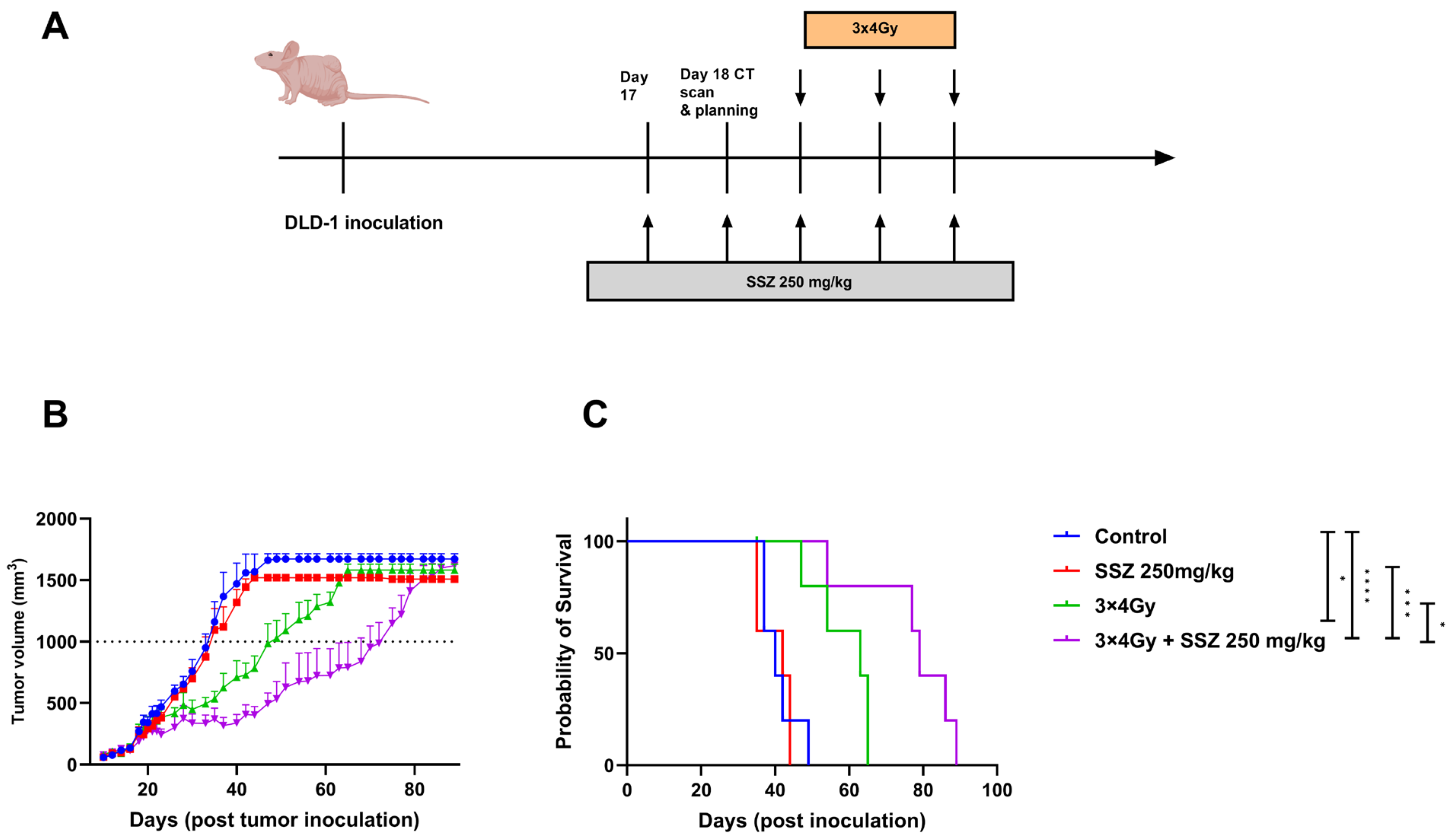 Cancers 15 02363 g007