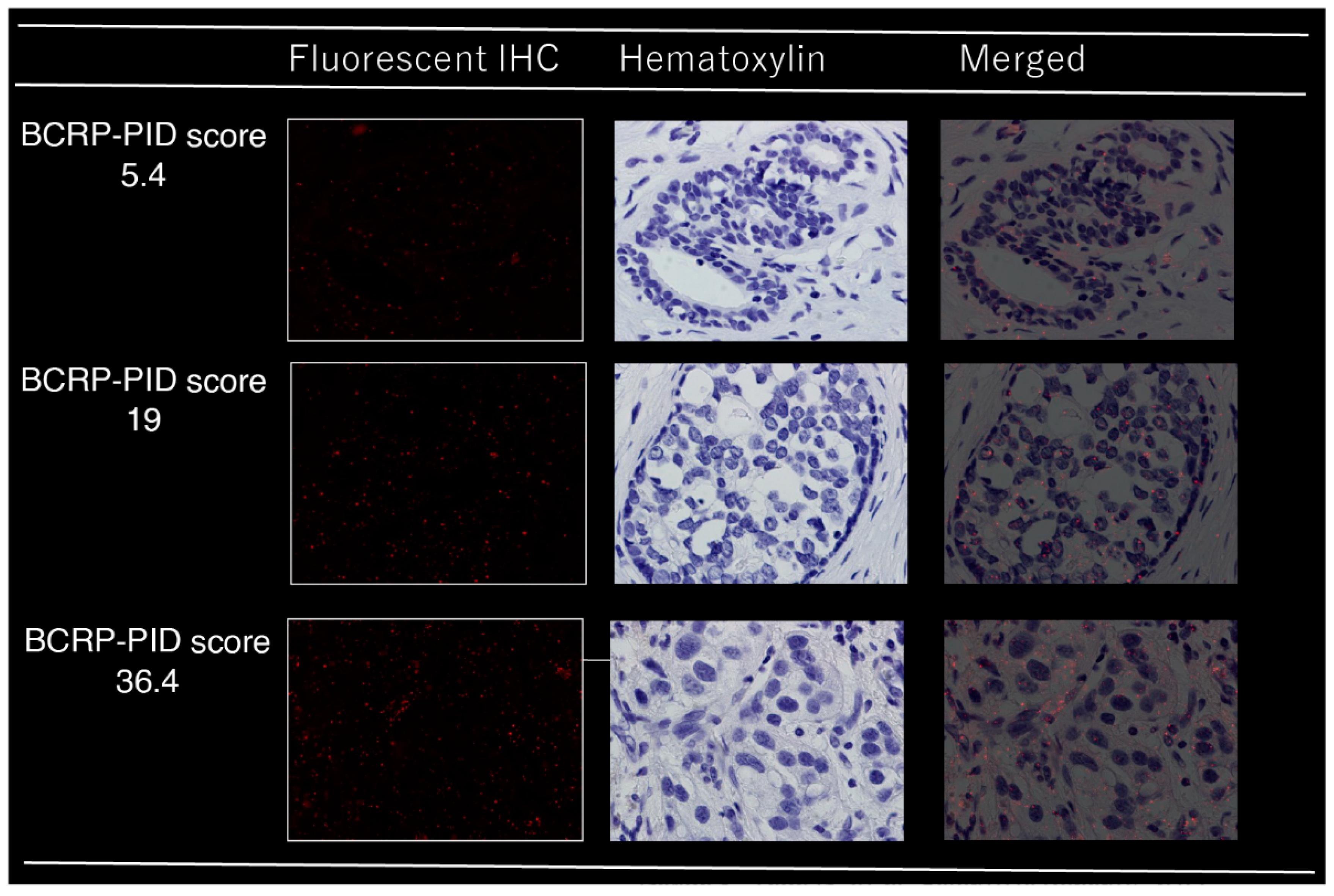 Cancers 15 02365 g001