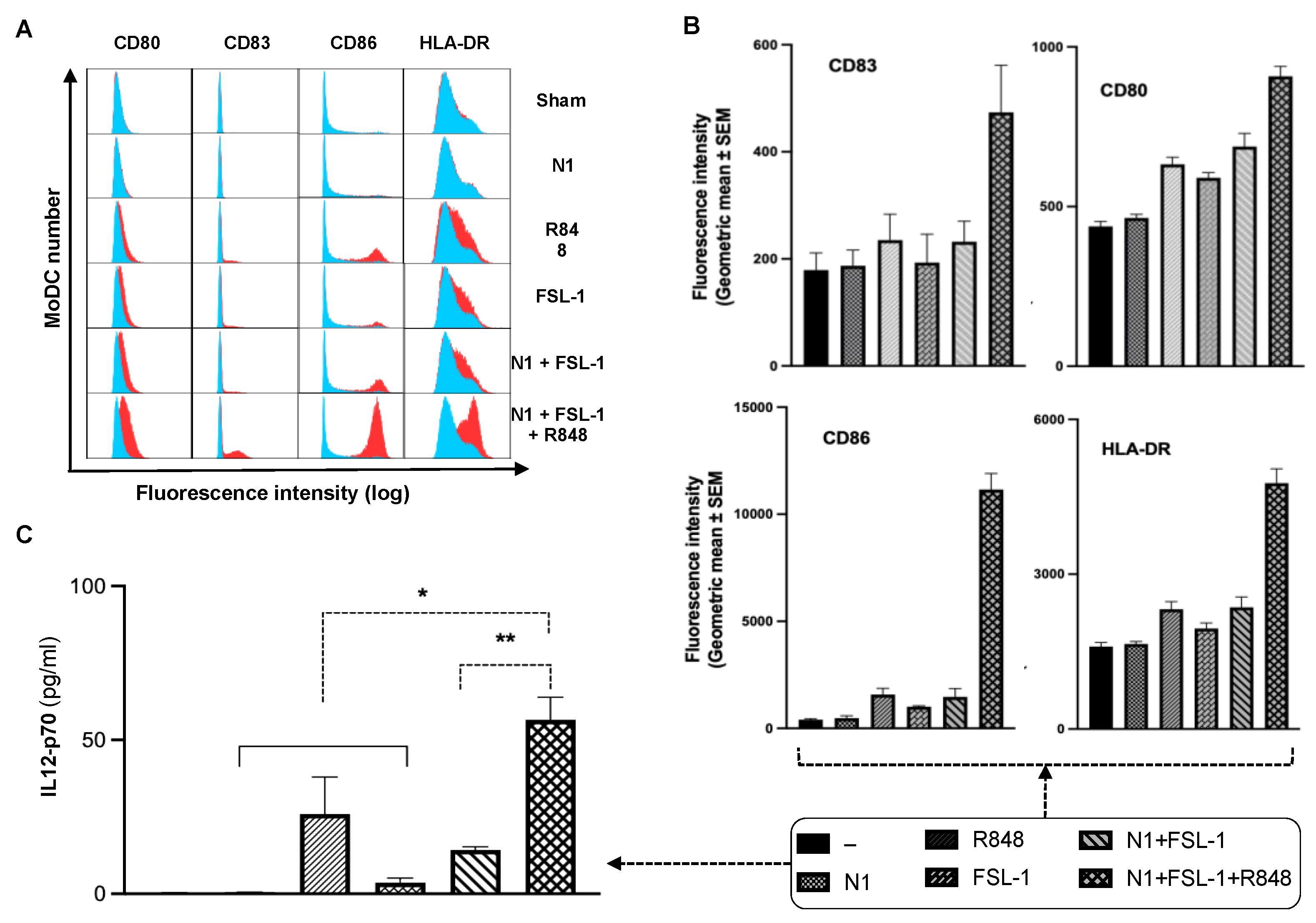 Cancers 15 02366 g001