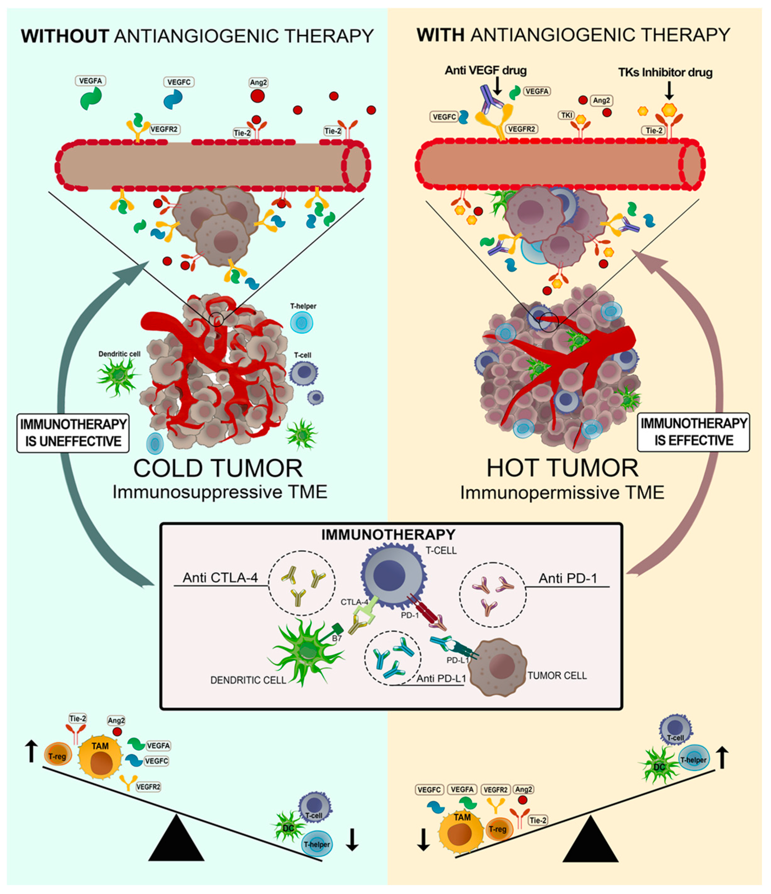 Cancers 15 02376 g002