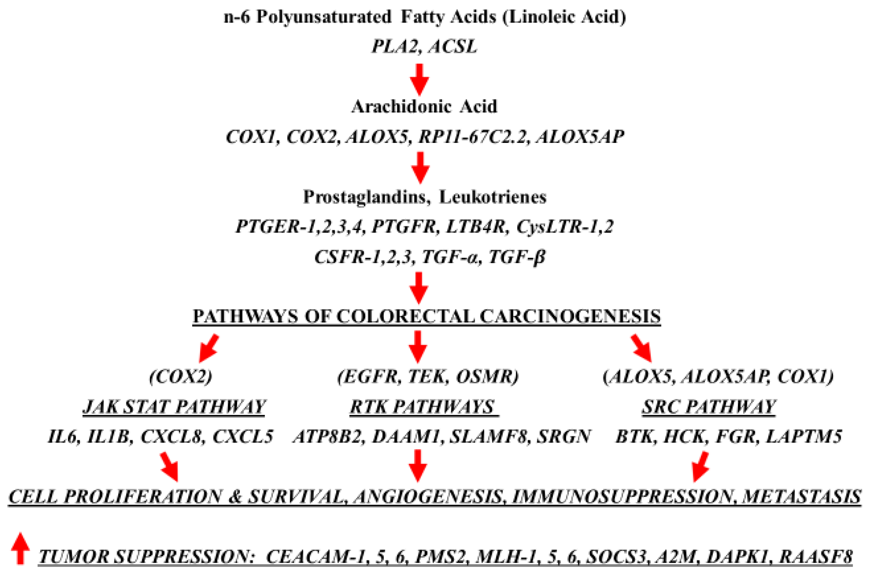 Cancers 15 02380 g004