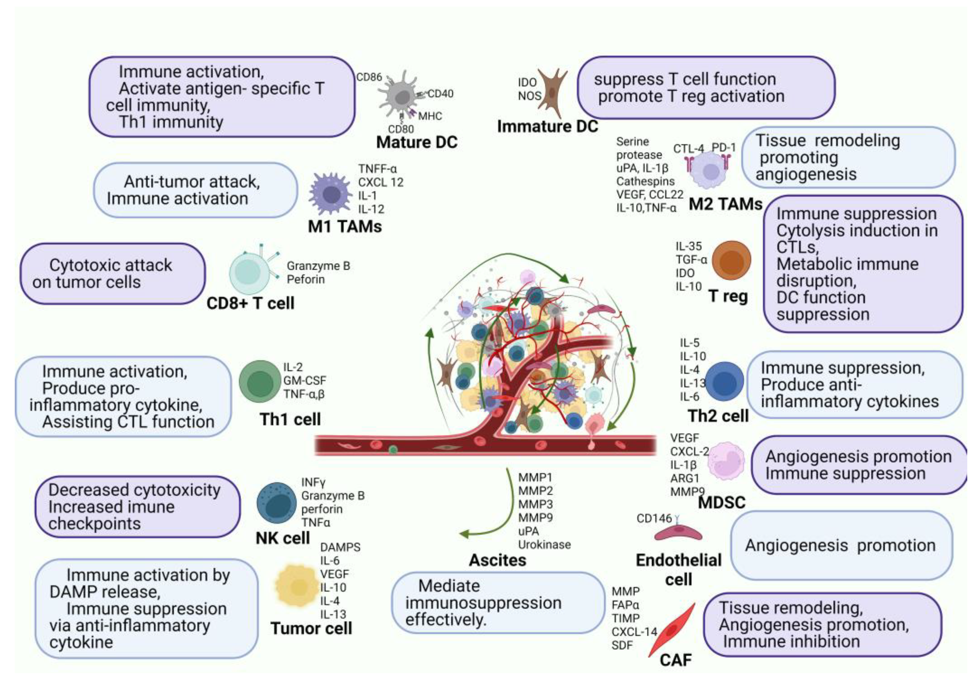 Cancers 15 02383 g002