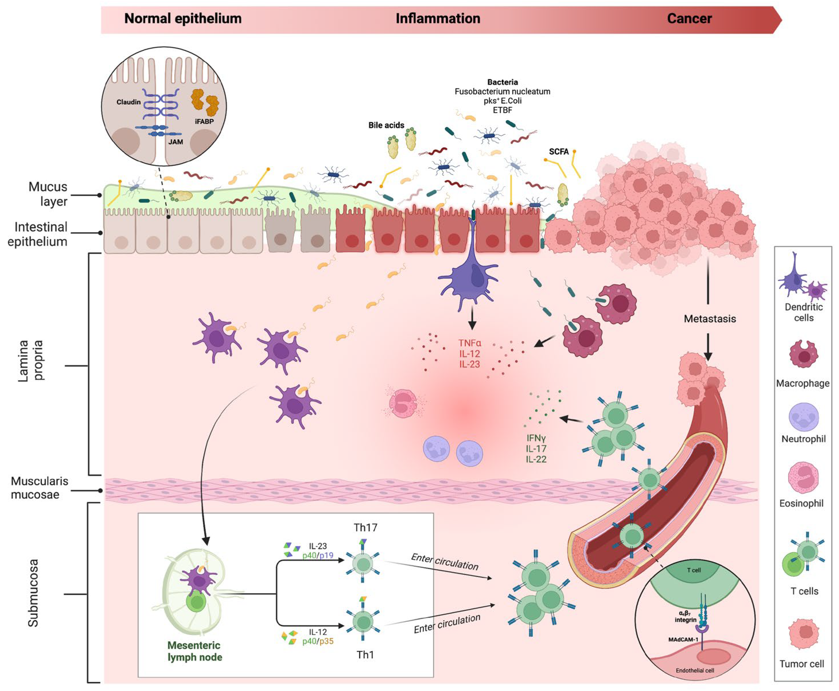 Cancers 15 02389 g003