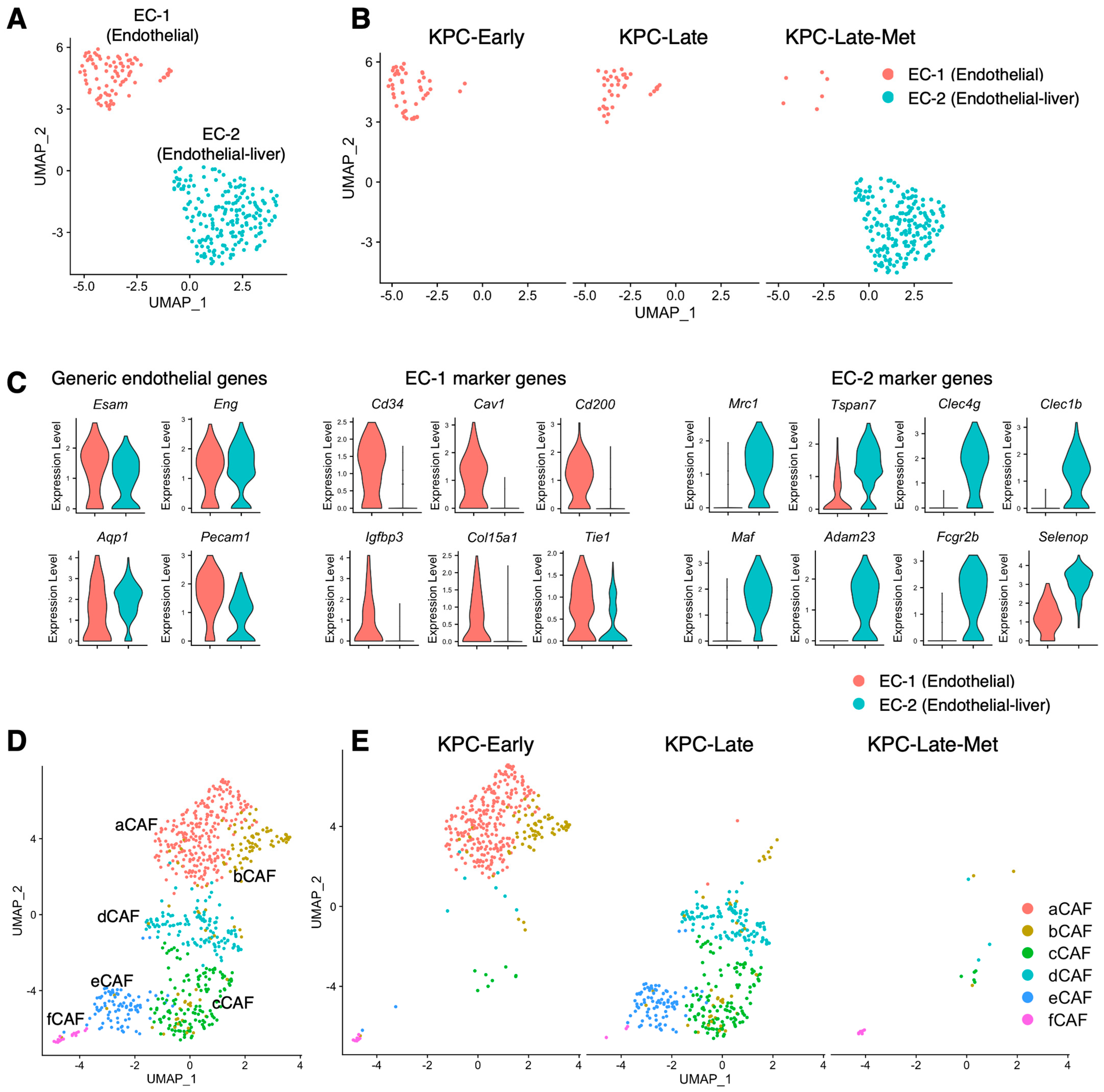 Cancers 15 02396 g005