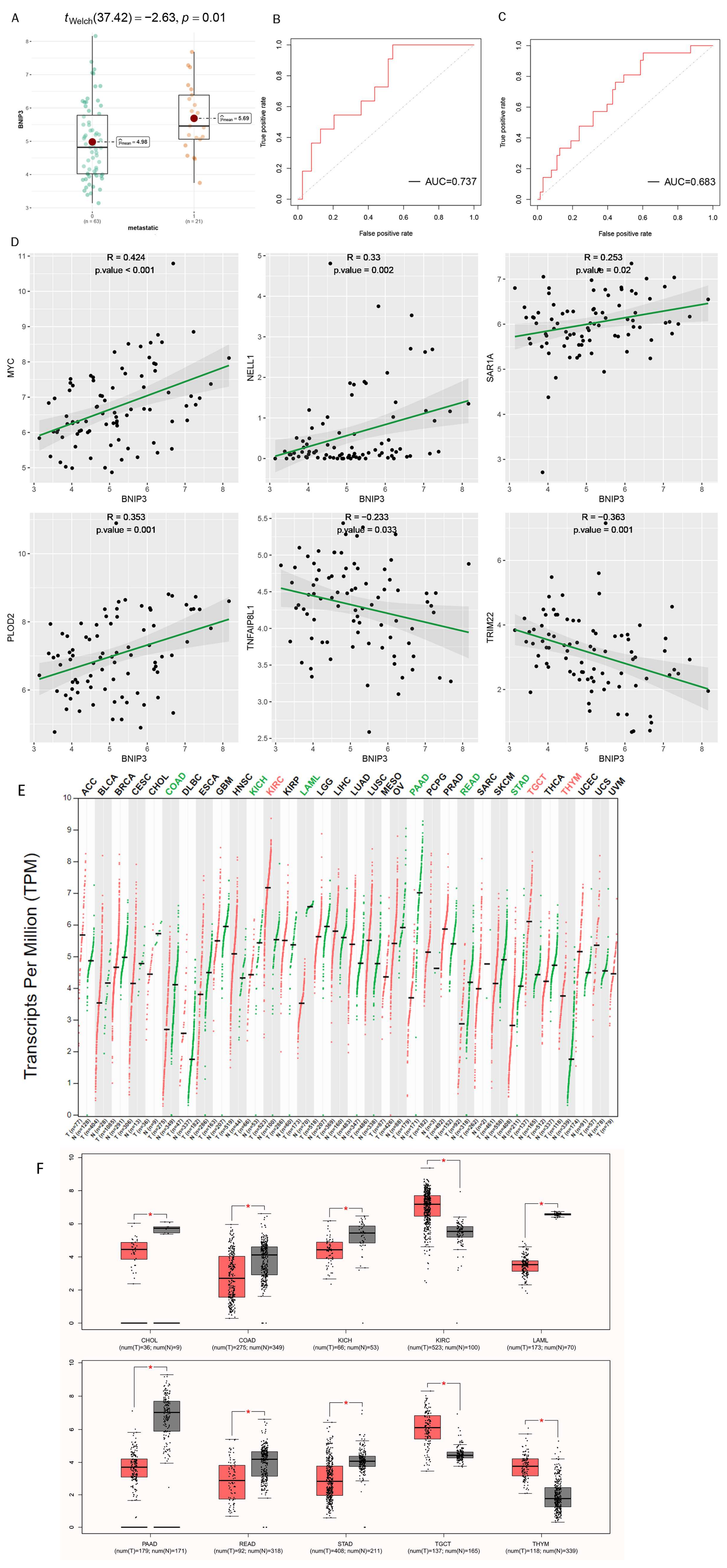 Cancers 15 02405 g008