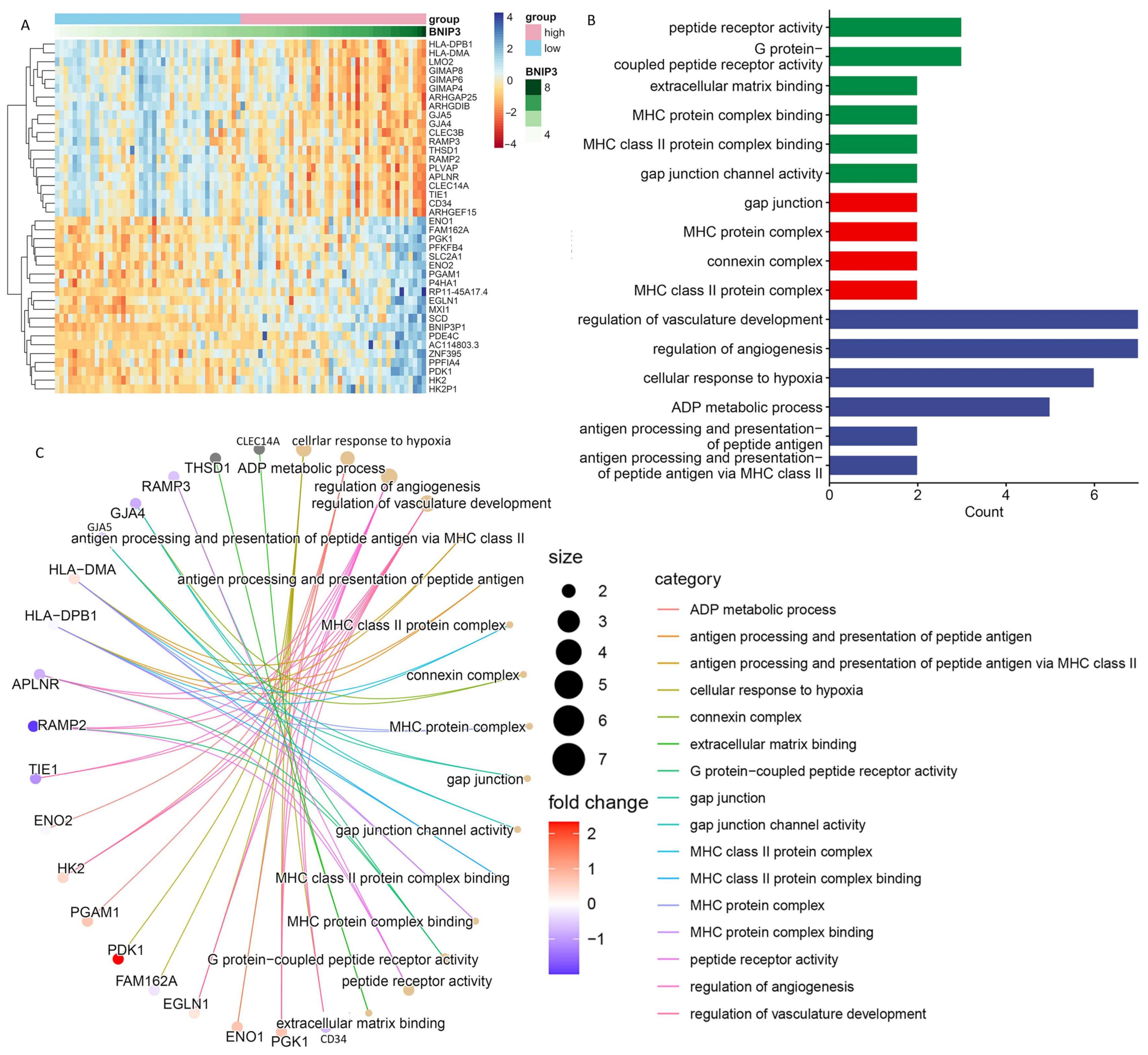 Cancers 15 02405 g009