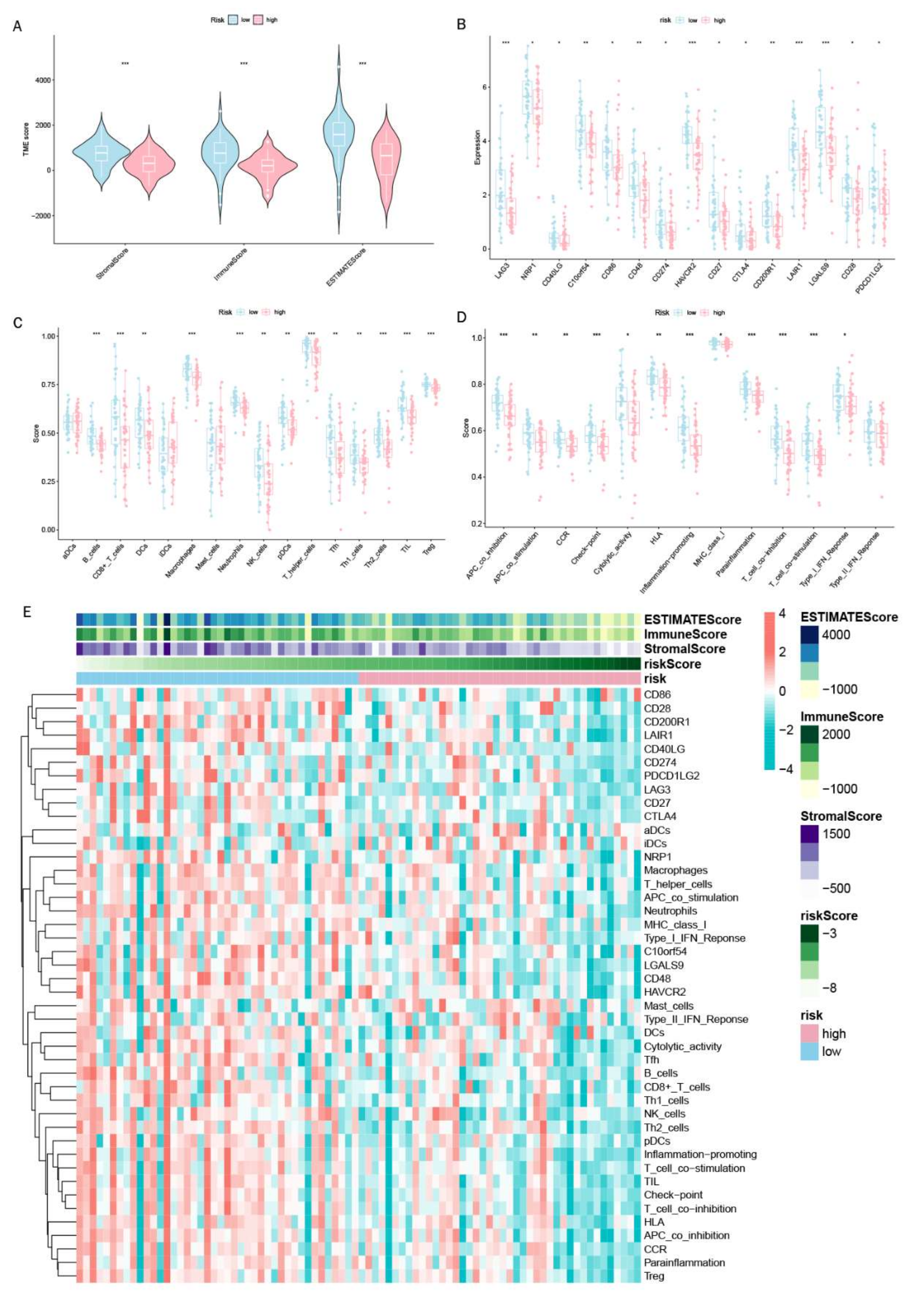 Cancers 15 02405 g011