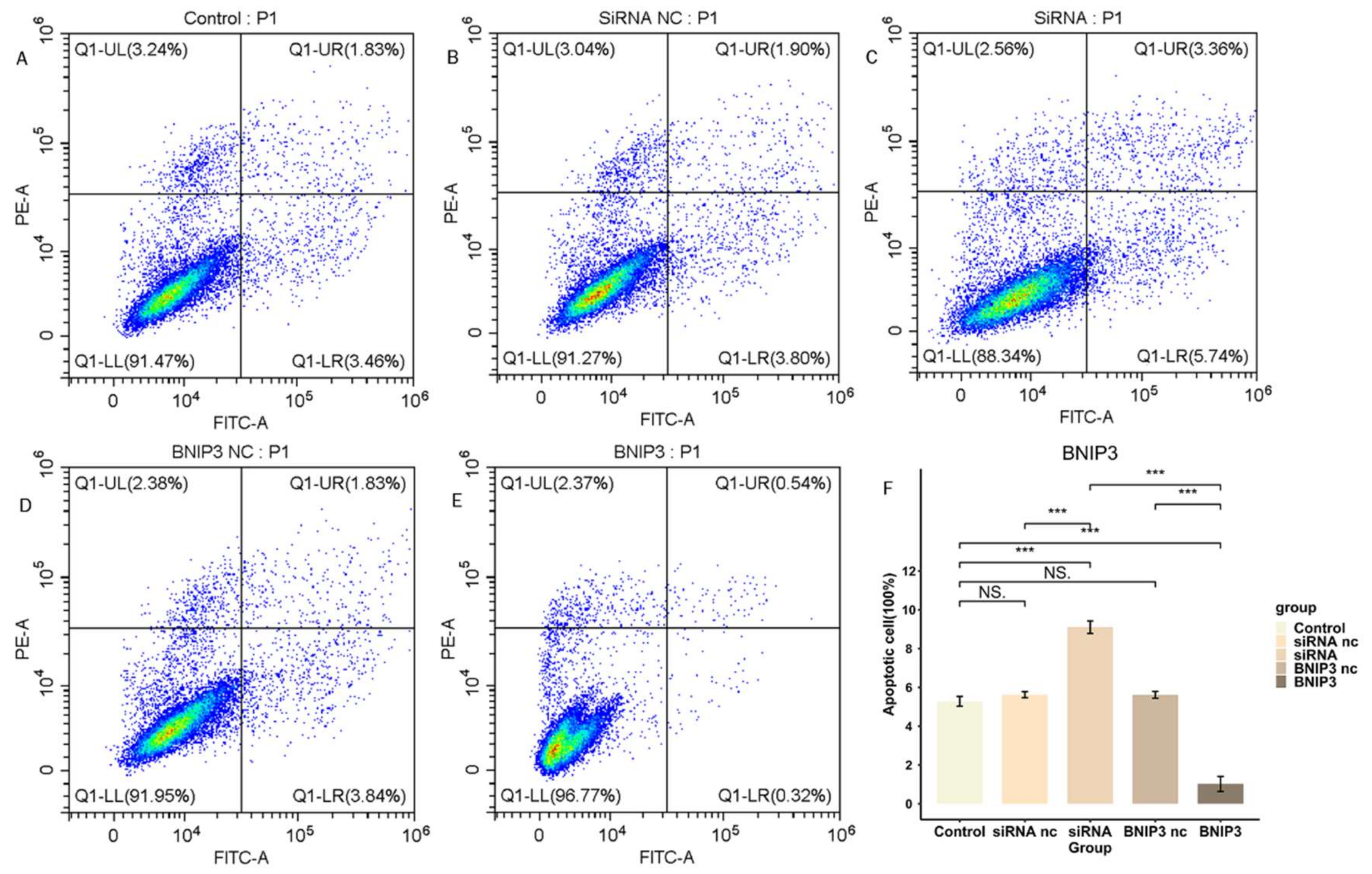 Cancers 15 02405 g016